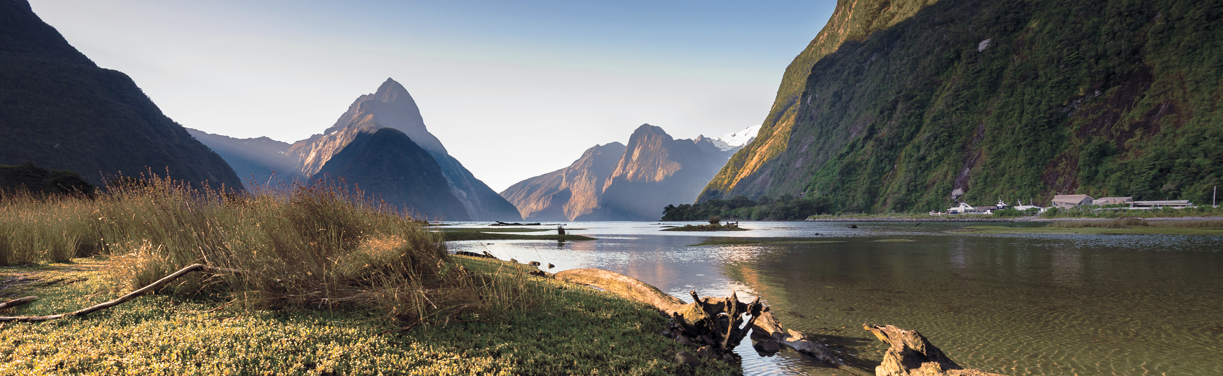 The Milky Pink Sea At Milford Sound 4K New Zealand Wallpapers