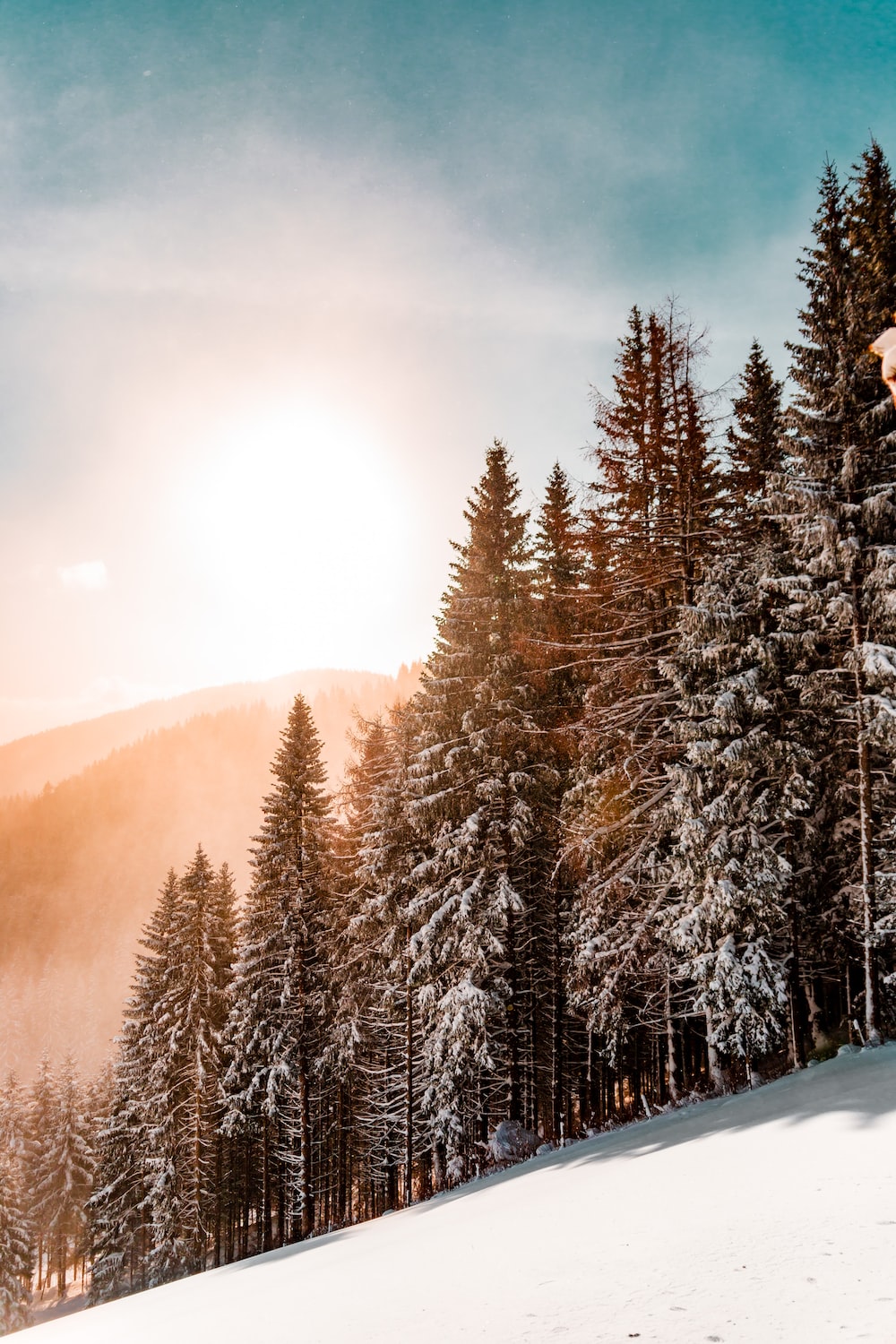 The Snowy Mountain In Forest Wallpapers