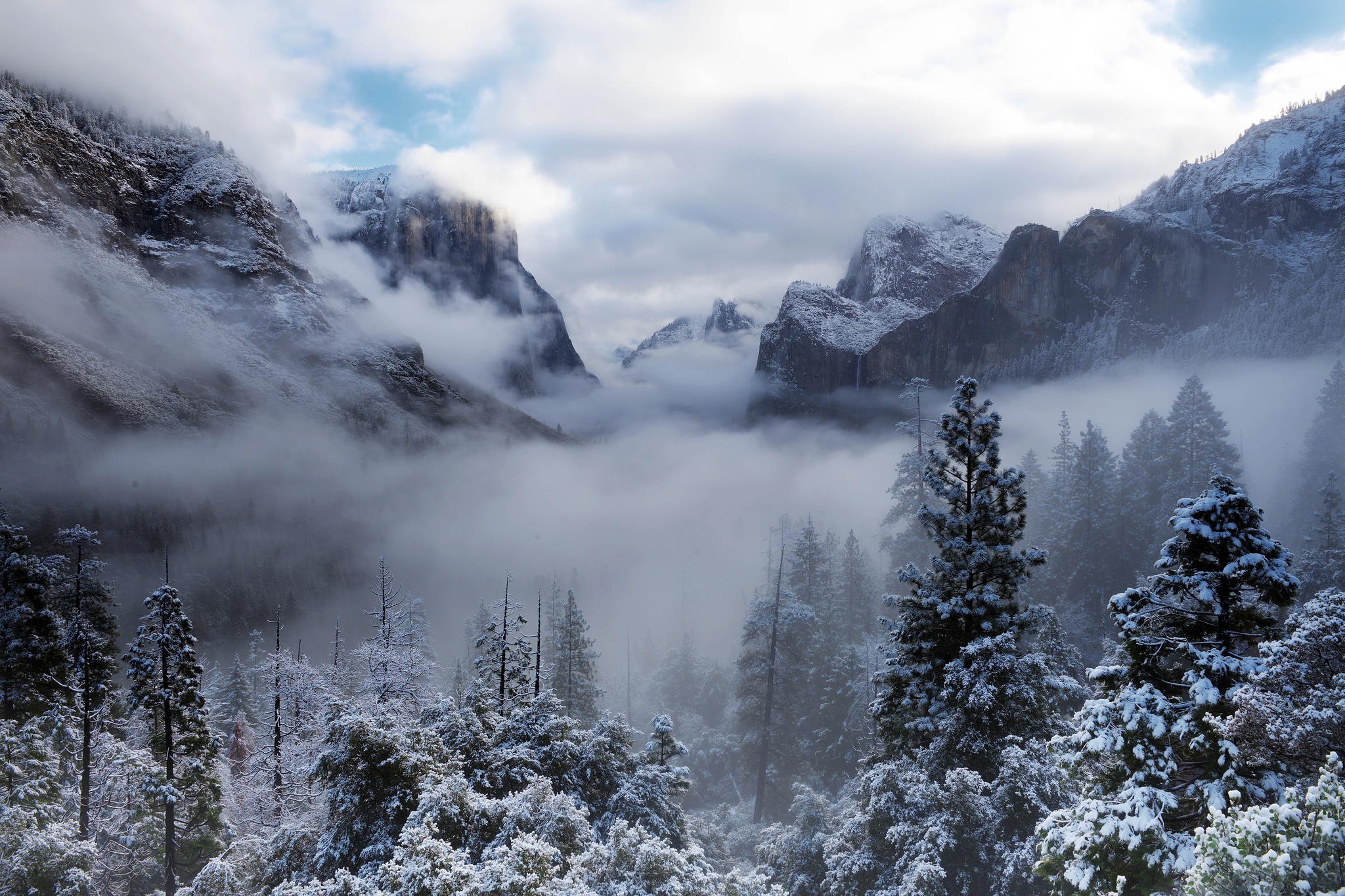 The Snowy Mountain In Forest Wallpapers