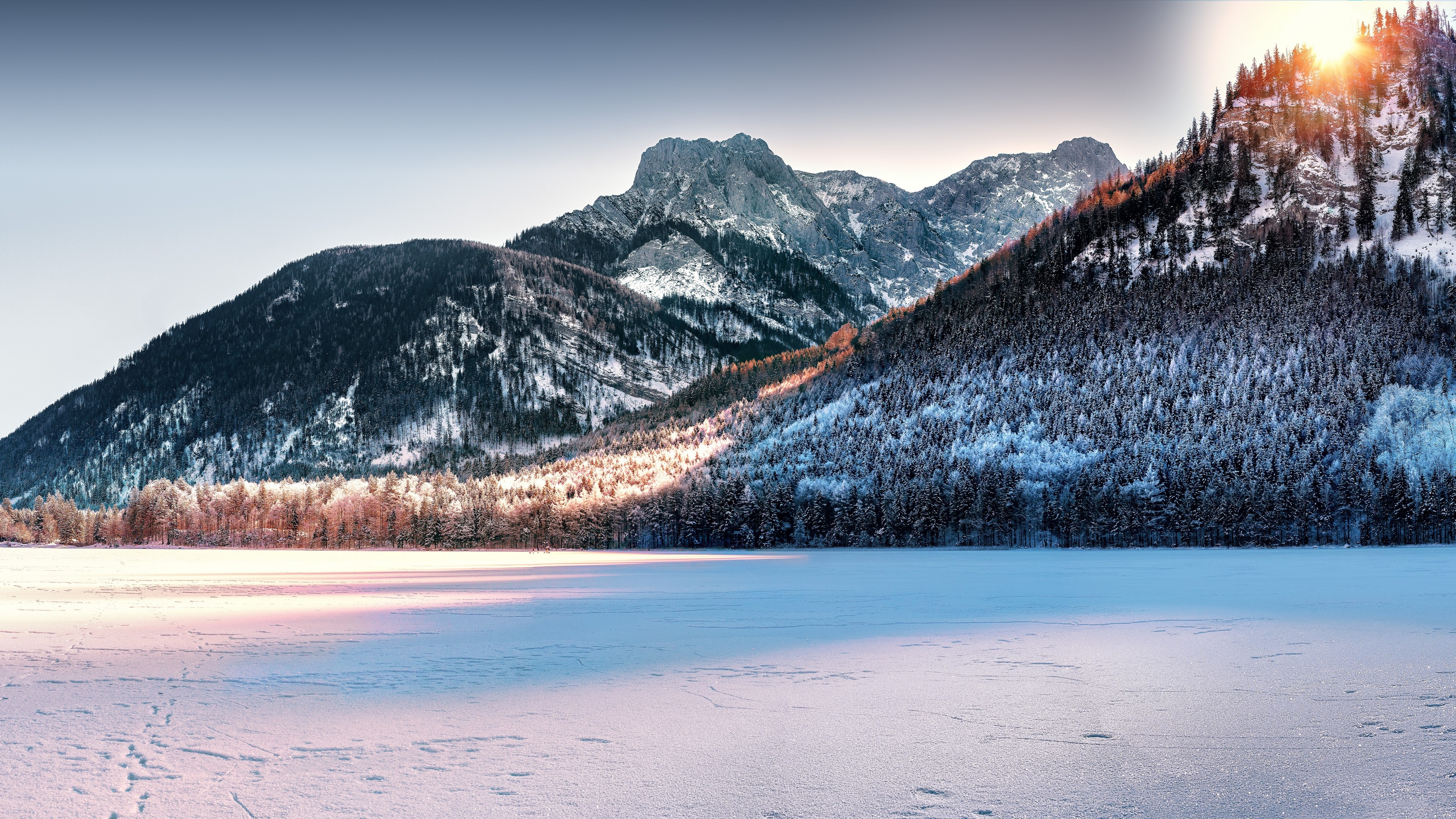 The Snowy Mountain In Forest Wallpapers