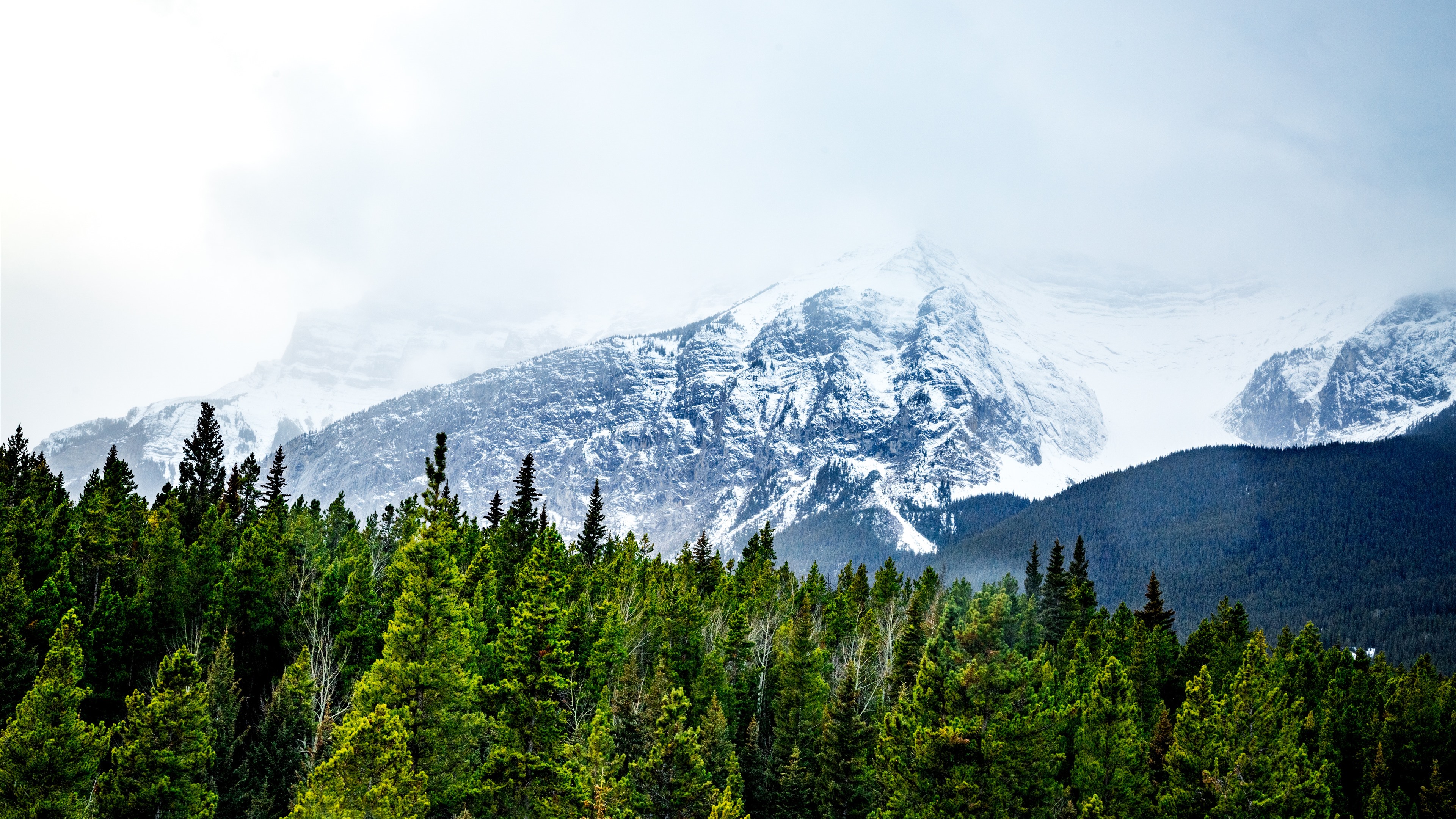 The Snowy Mountain In Forest Wallpapers