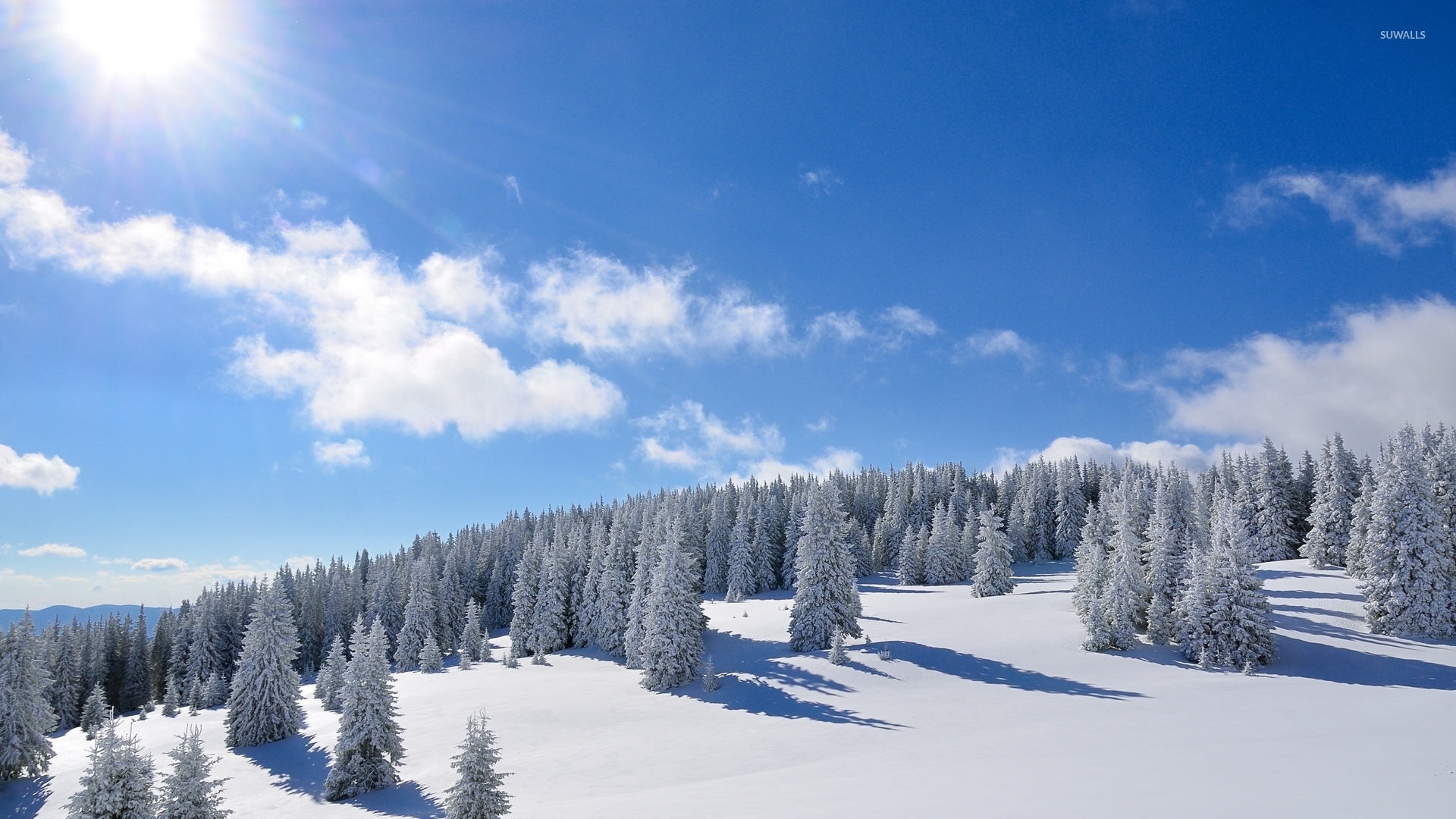 The Snowy Mountain In Forest Wallpapers