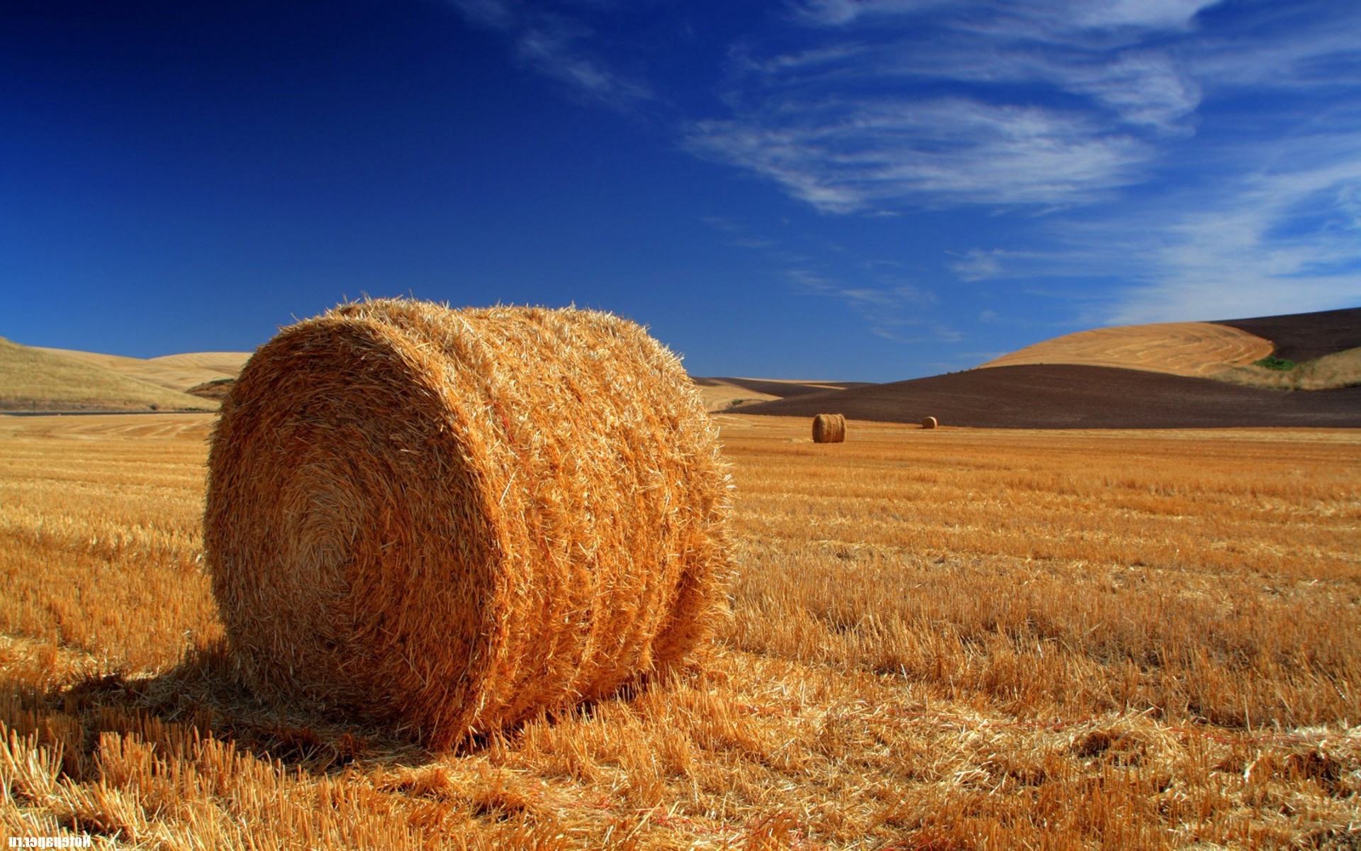 The Tree And Haystack Field Wallpapers