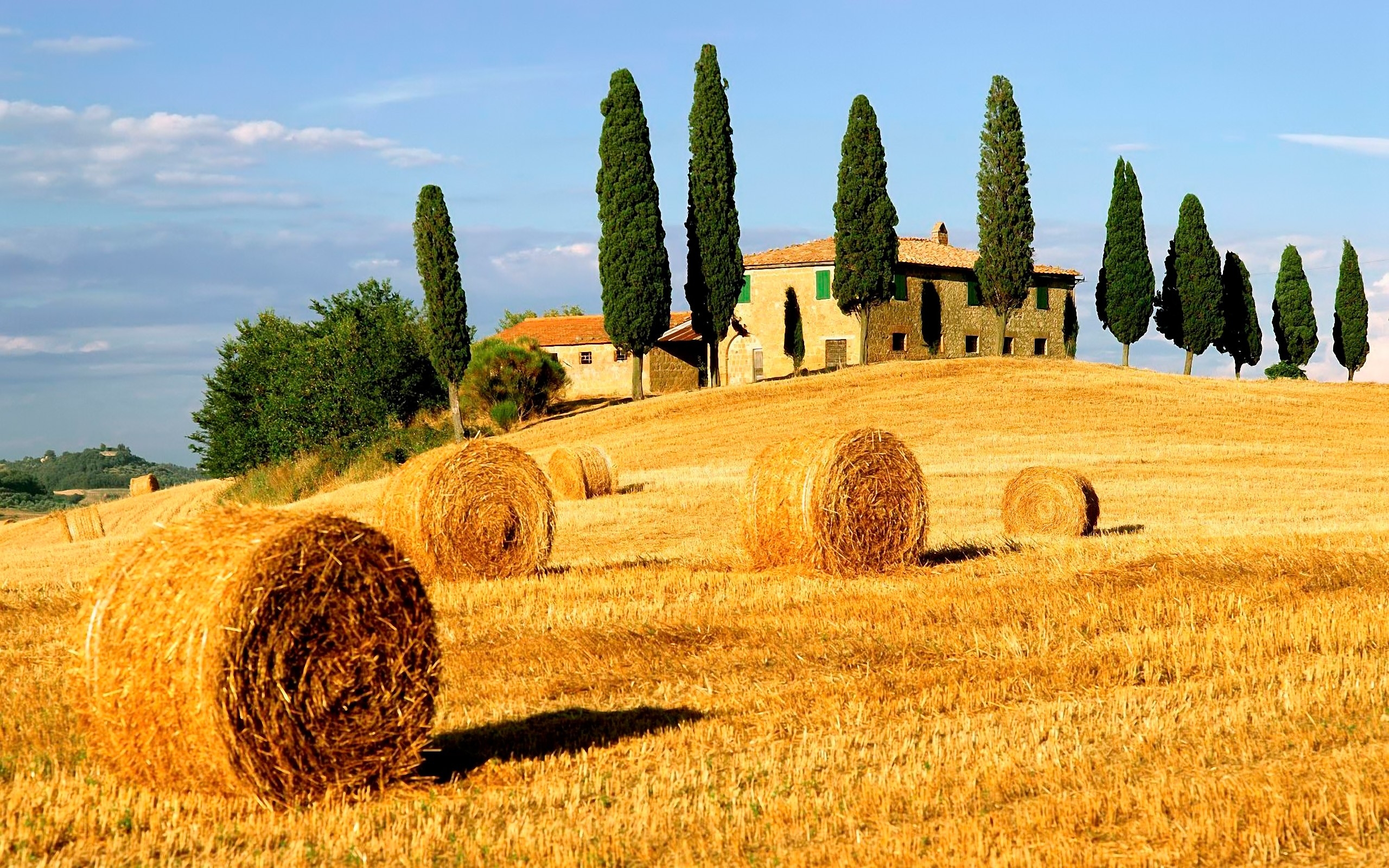 The Tree And Haystack Field Wallpapers