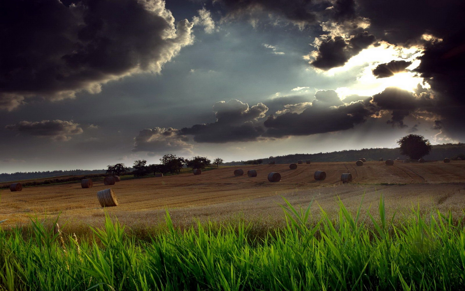 The Tree And Haystack Field Wallpapers