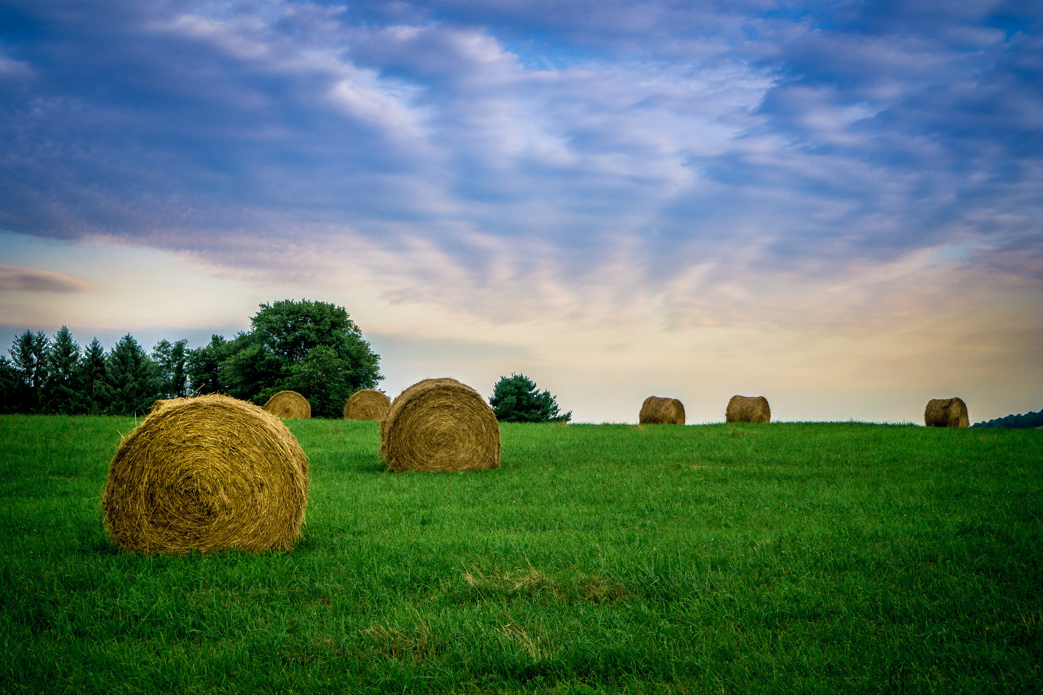 The Tree And Haystack Field Wallpapers