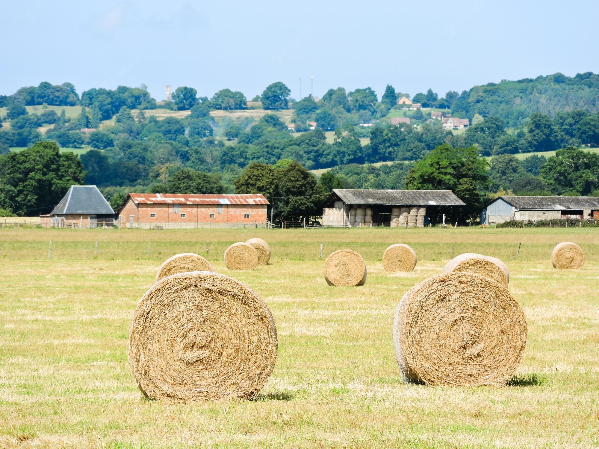 The Tree And Haystack Field Wallpapers