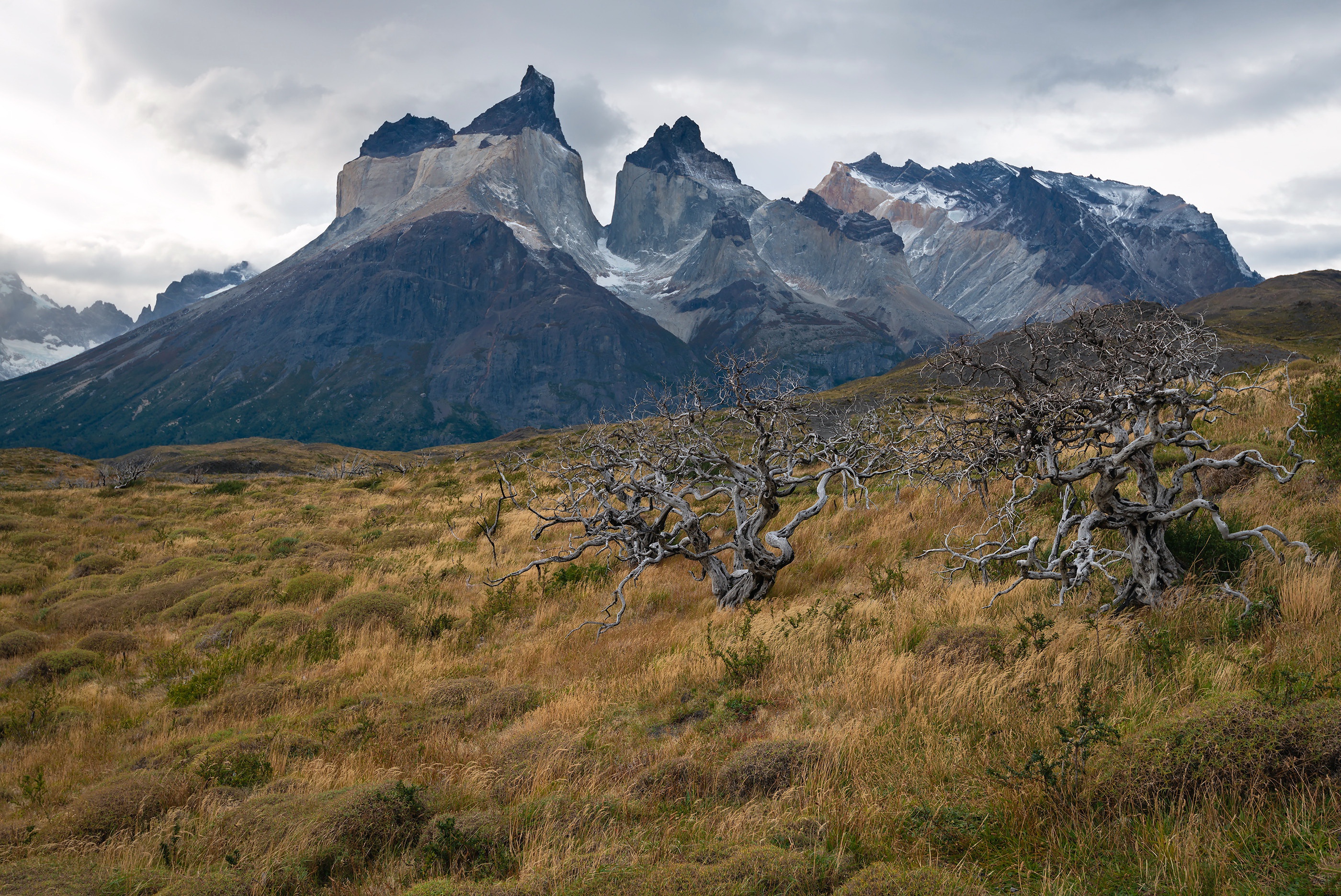 Torres Del Paine National Park Wallpapers