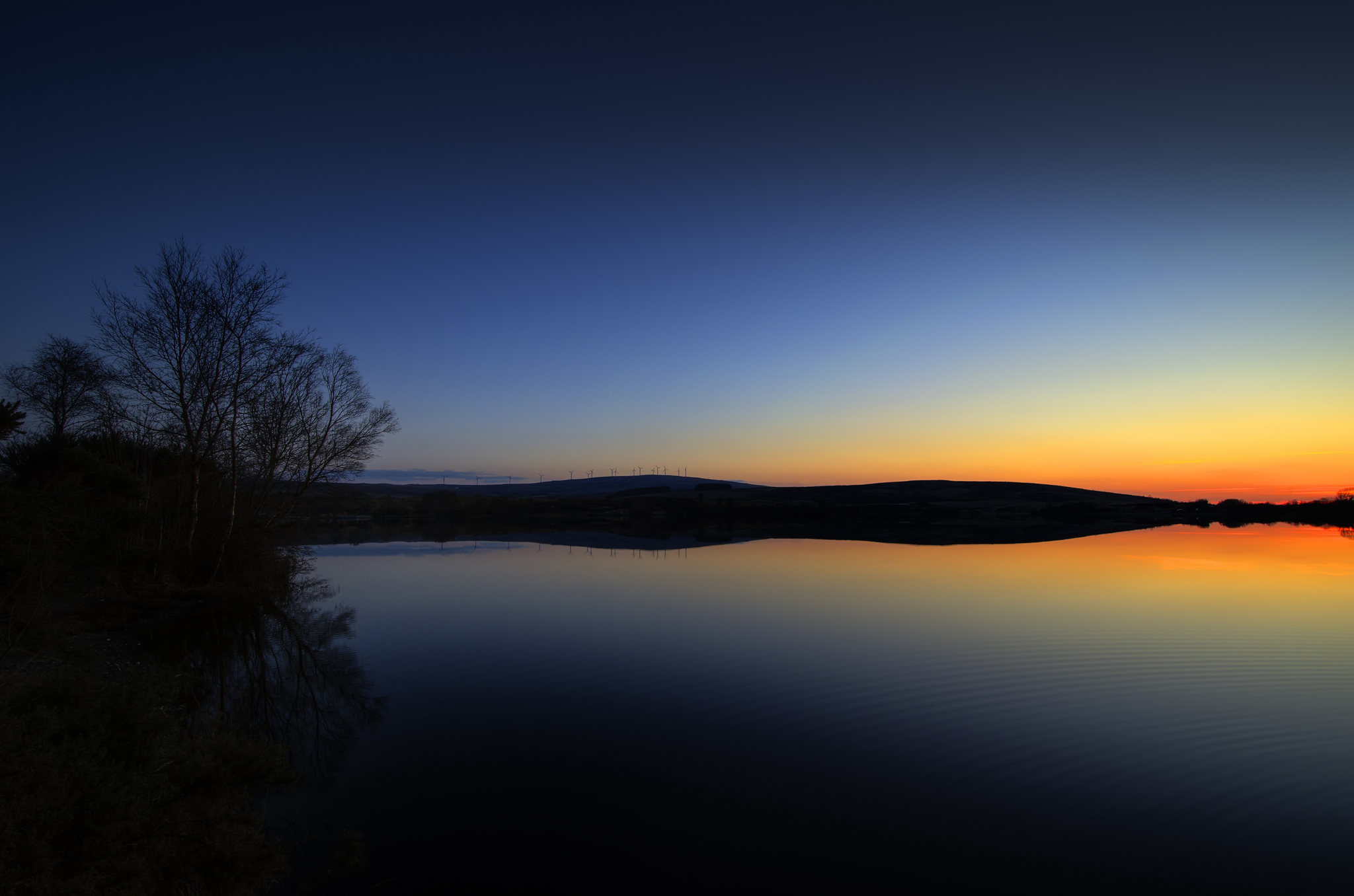 Tree Reflection In Lake Wallpapers