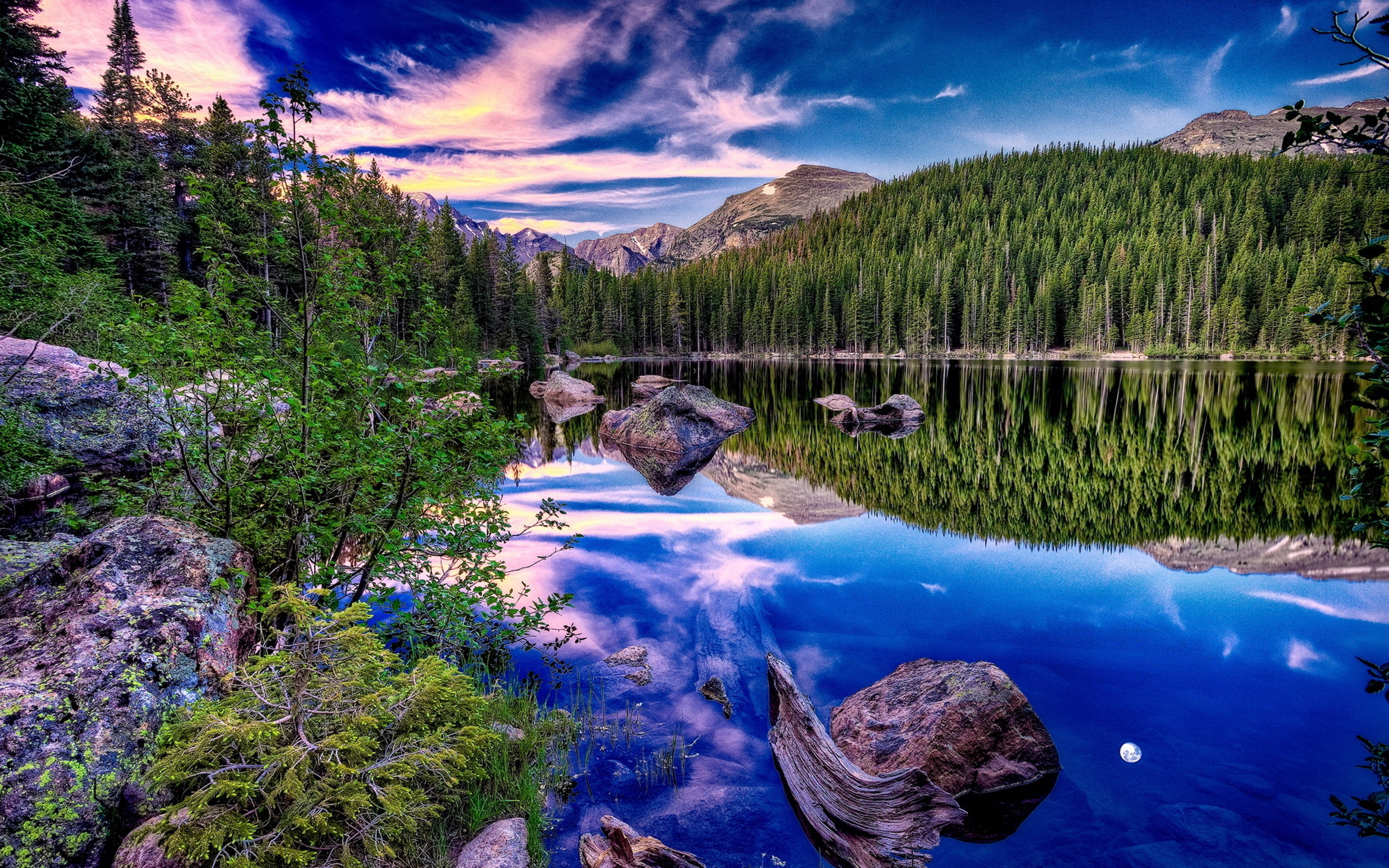 Tree Reflection In Lake Wallpapers