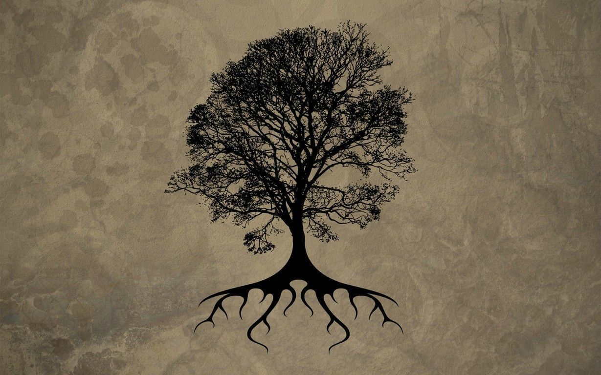 Tree Root Wallpapers