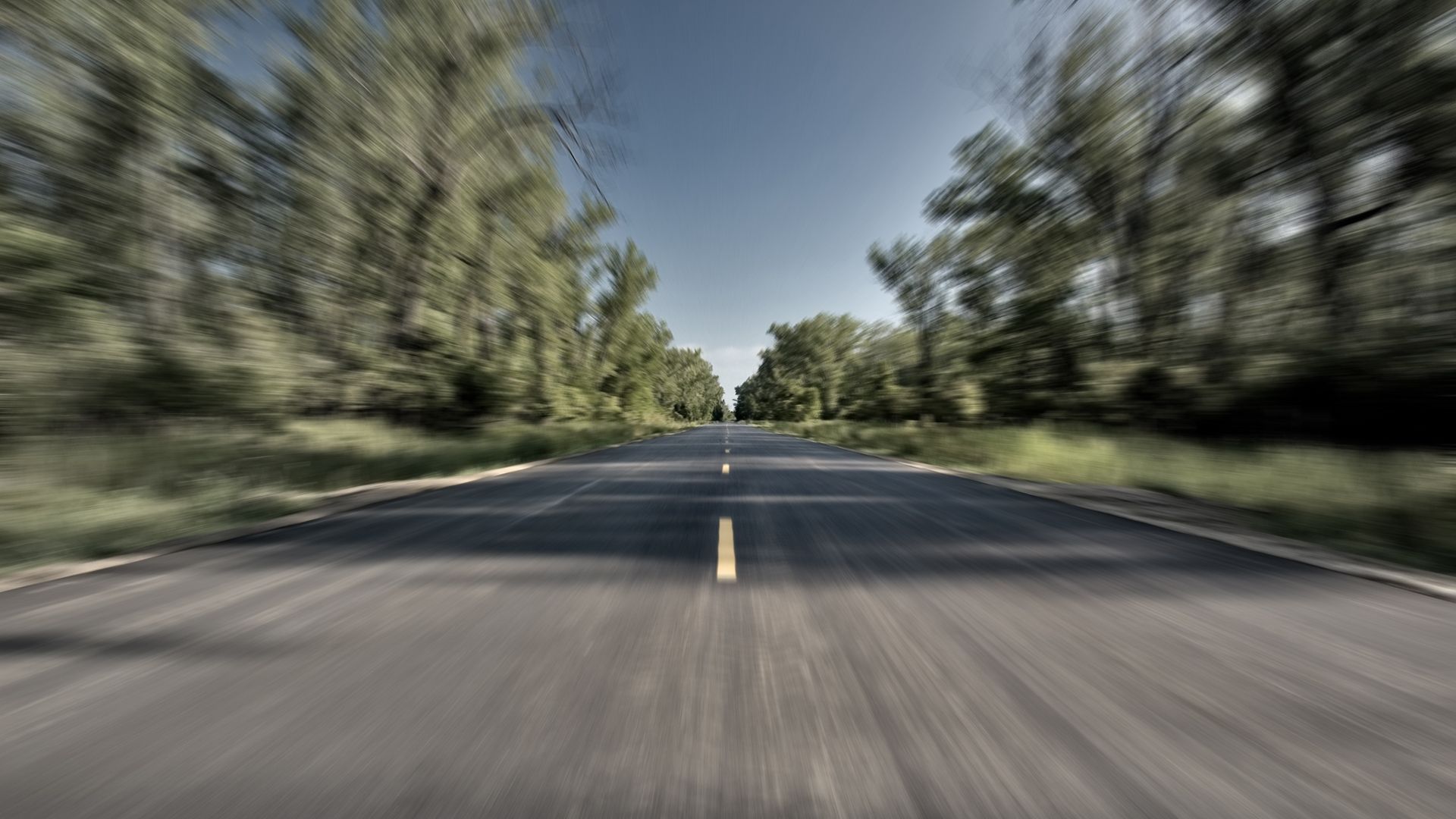 Tree-Lined Empty Road Wallpapers