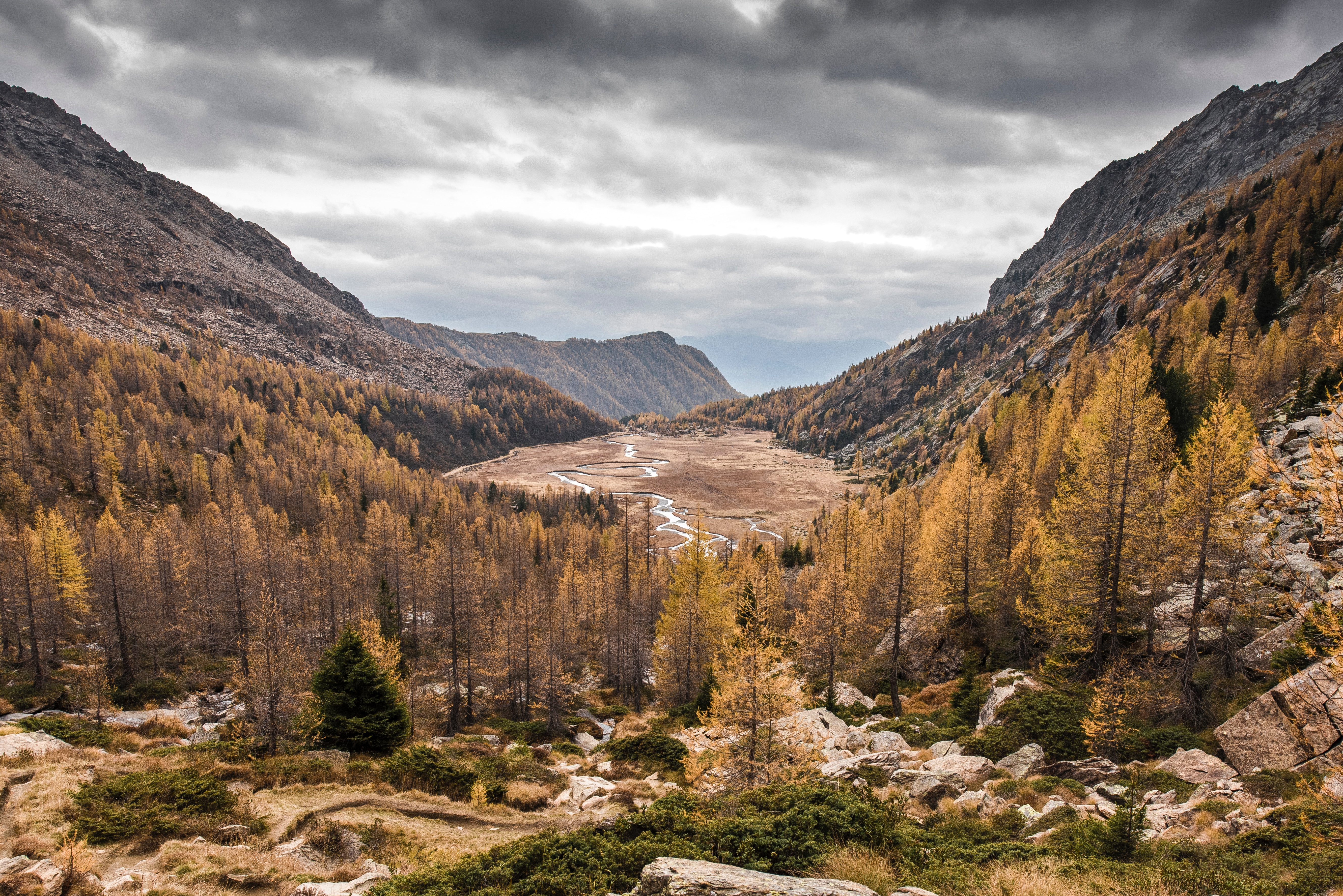 Trees Grass In Fall Bleak Mountains Wallpapers