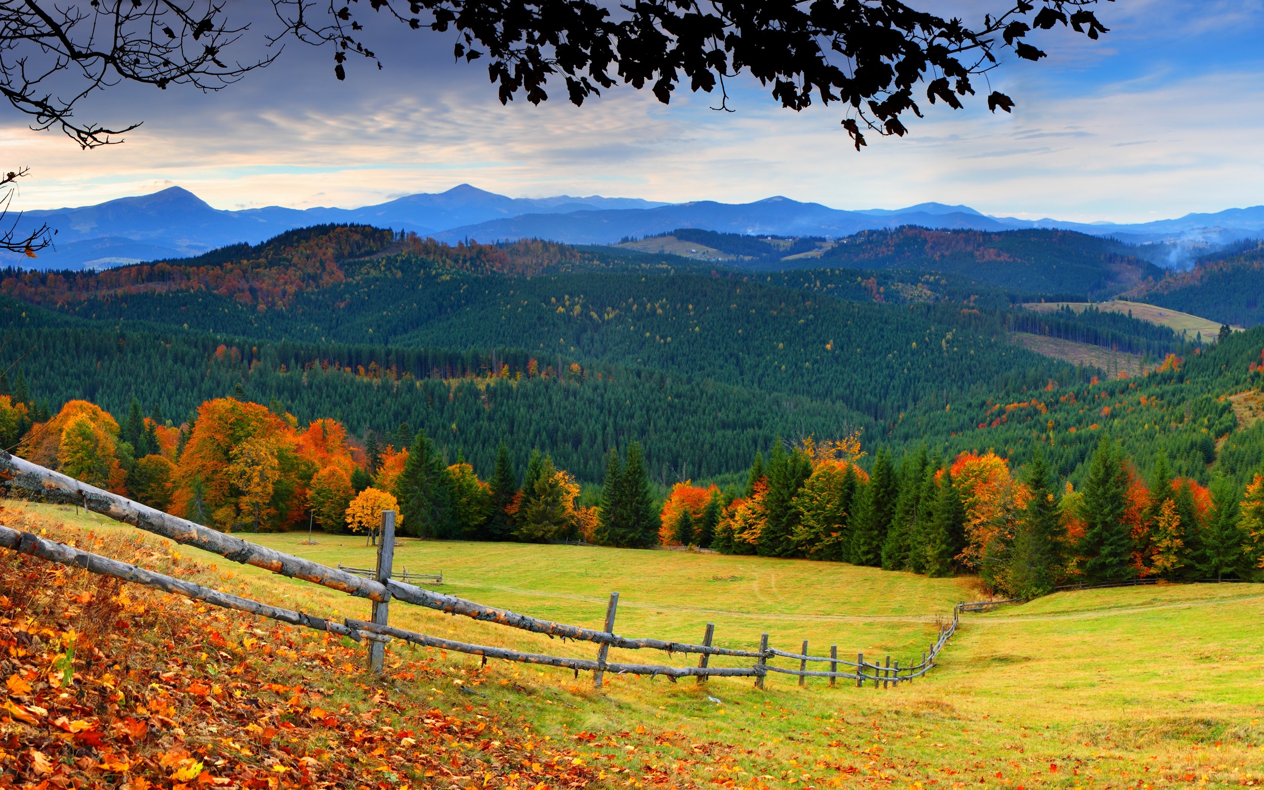 Trees Grass In Fall Bleak Mountains Wallpapers