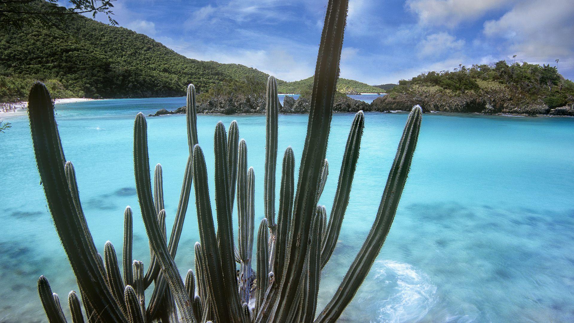 Virgin Islands National Park Wallpapers