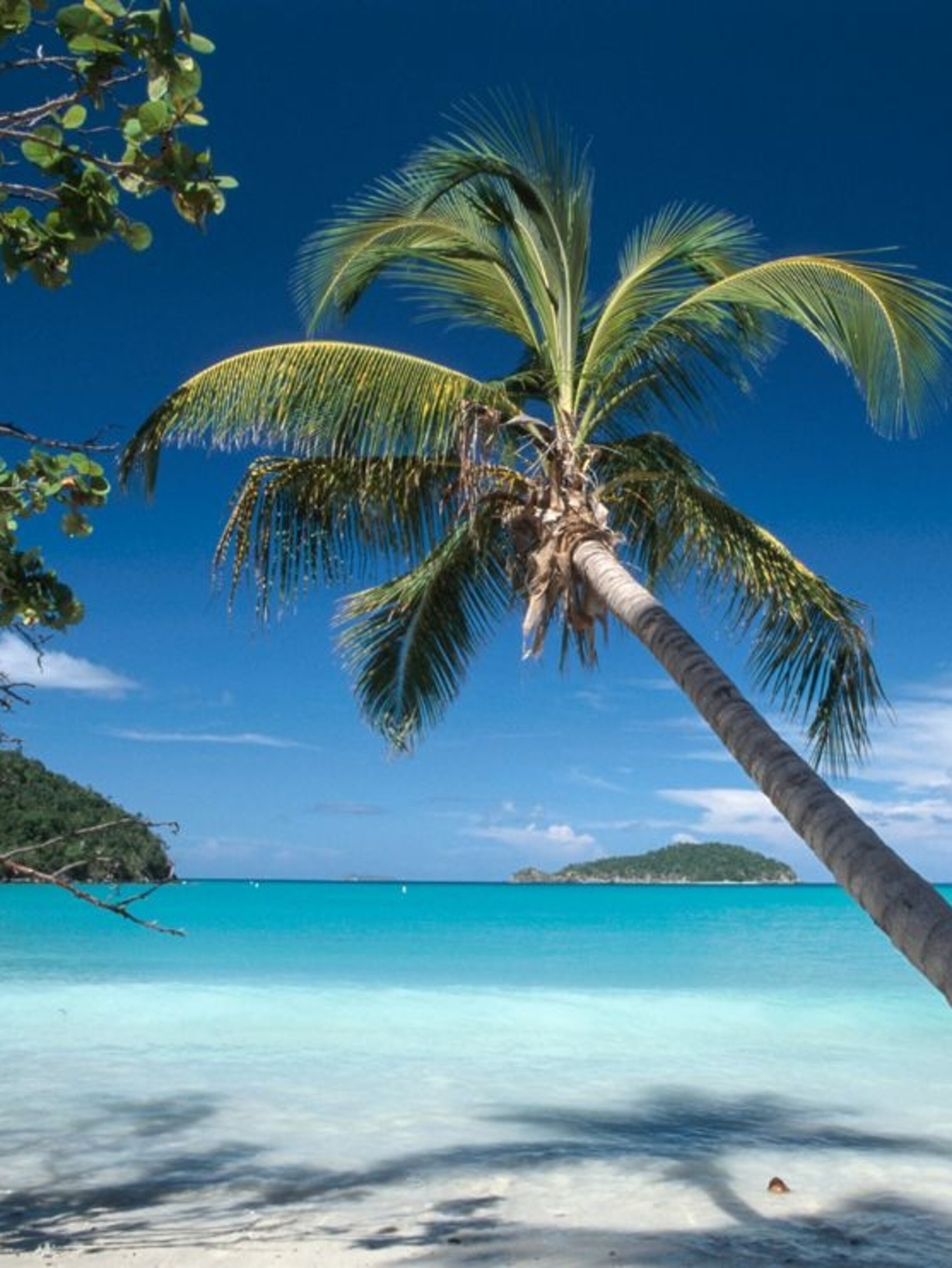 Virgin Islands National Park Wallpapers