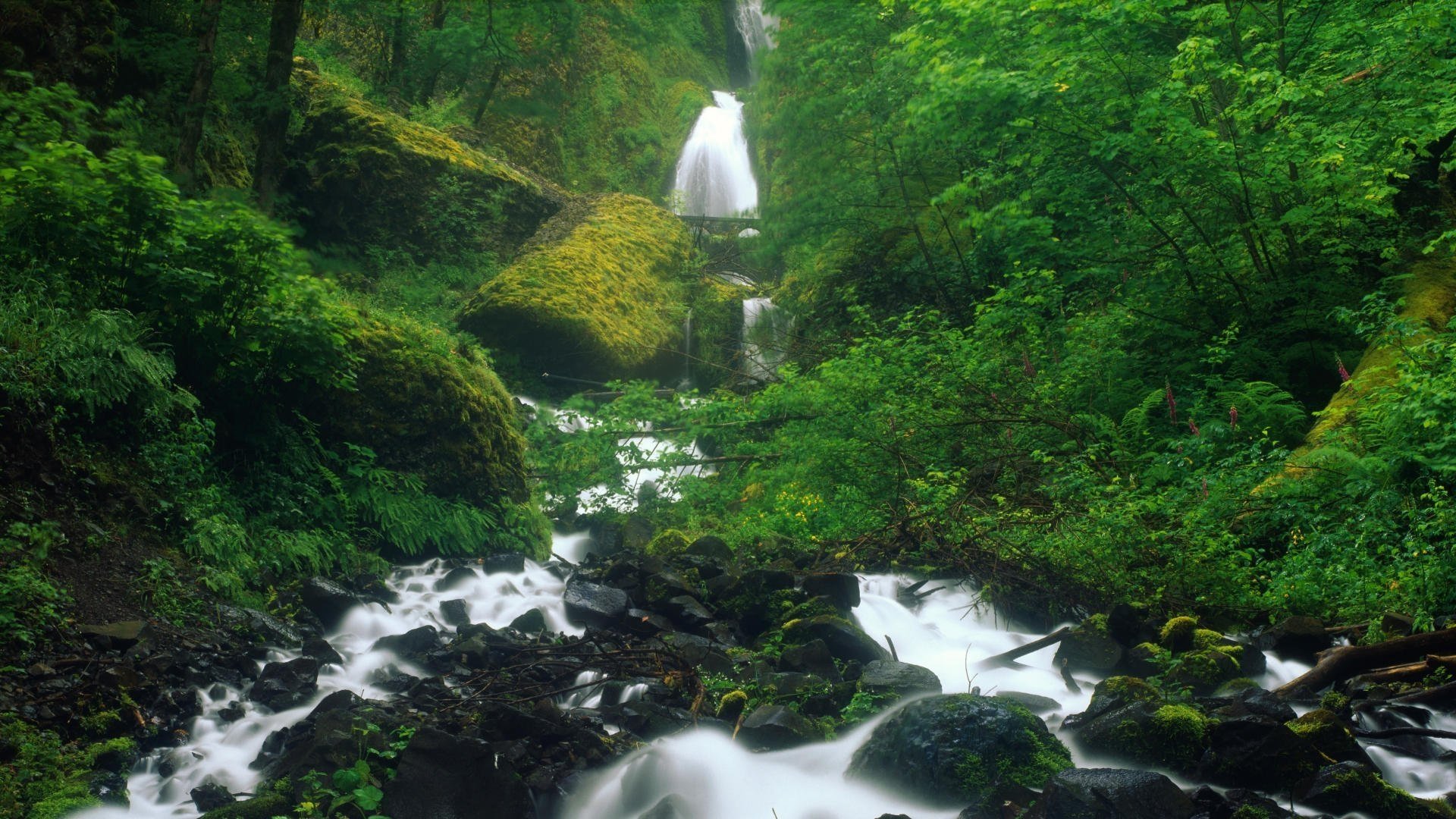 Wahkeena Falls Wallpapers