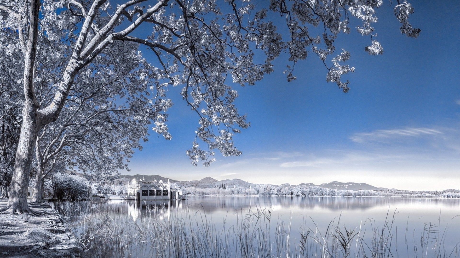 White Snowy Lake Wallpapers