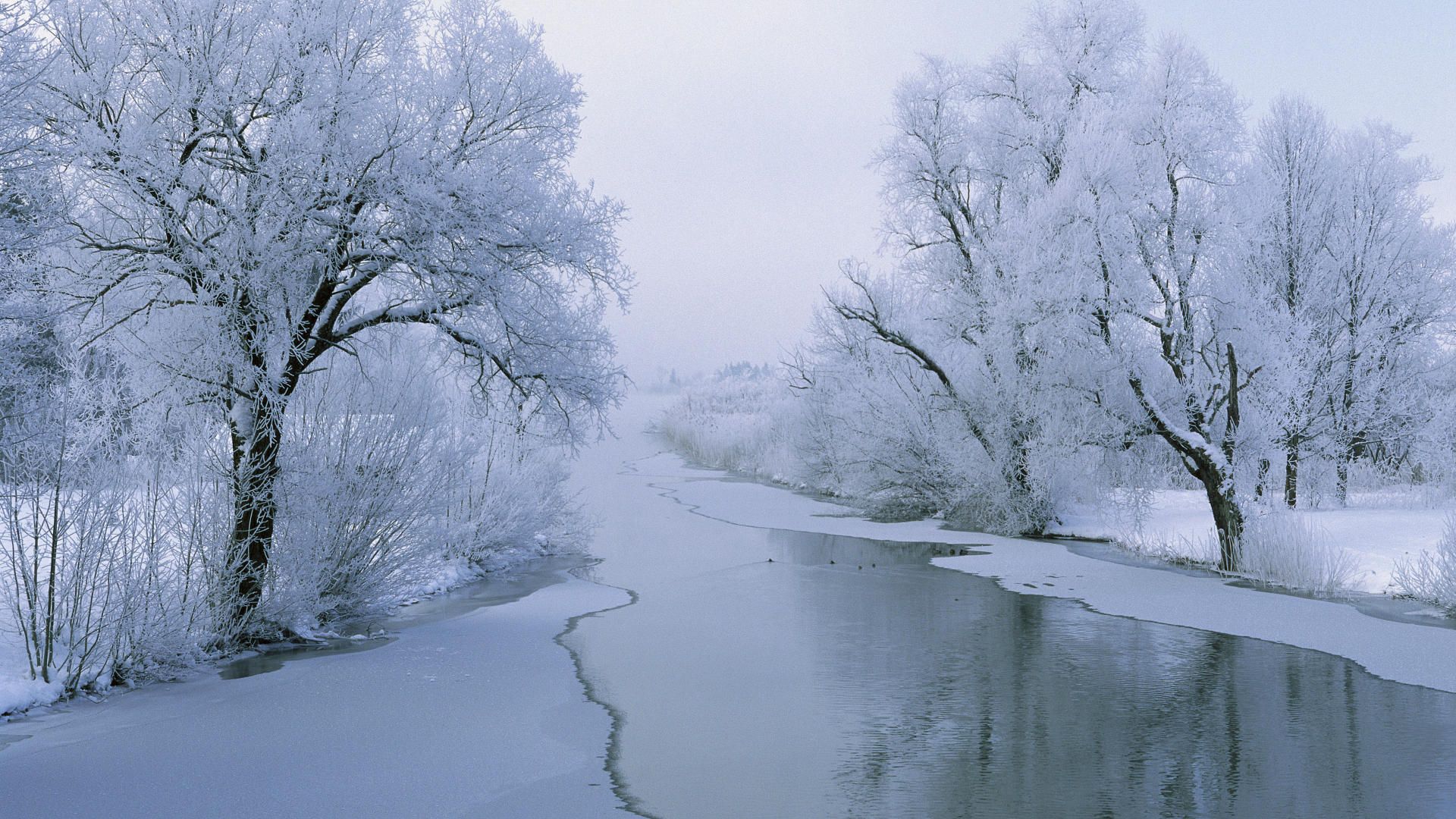 White Snowy Lake Wallpapers