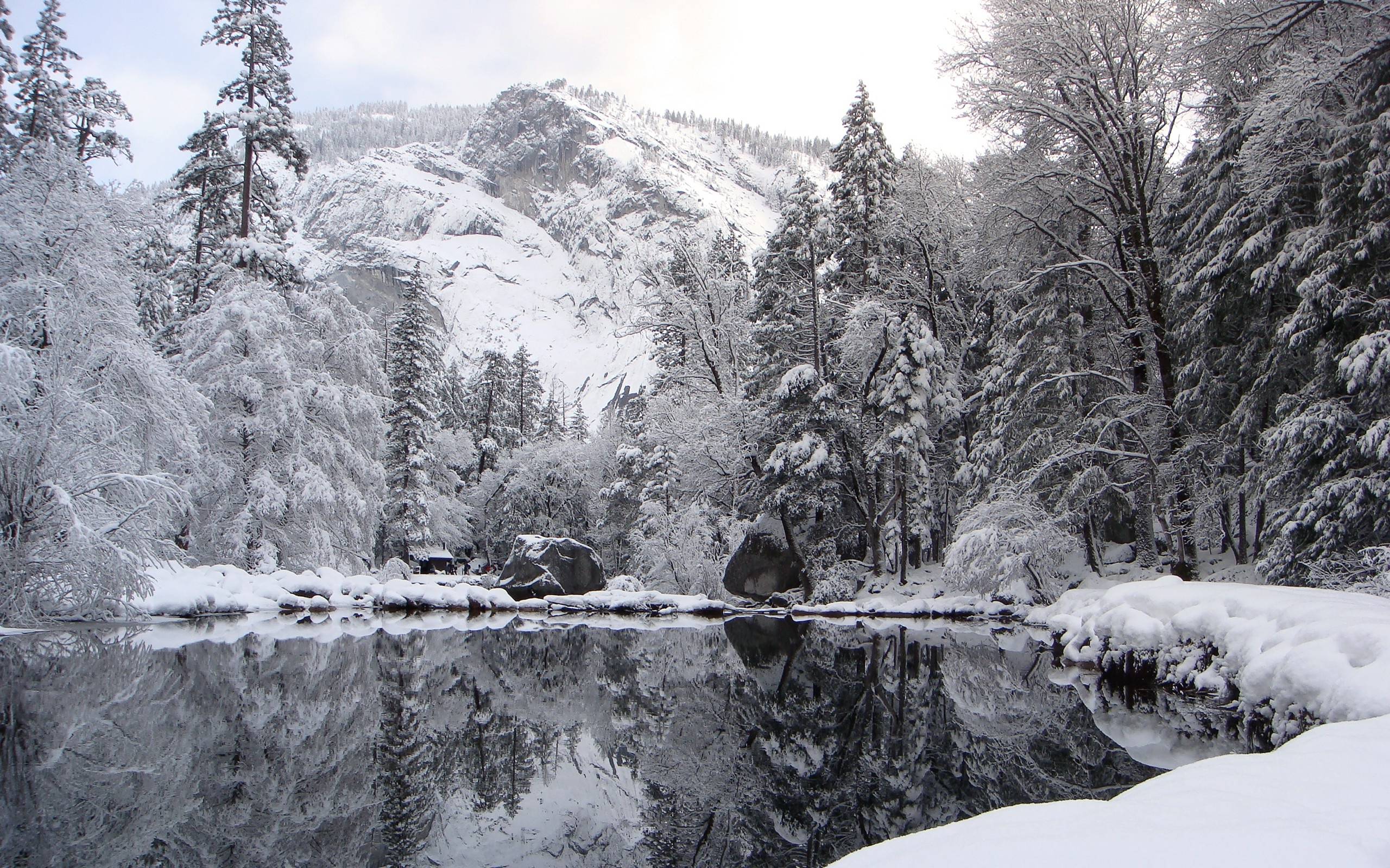 White Snowy Lake Wallpapers