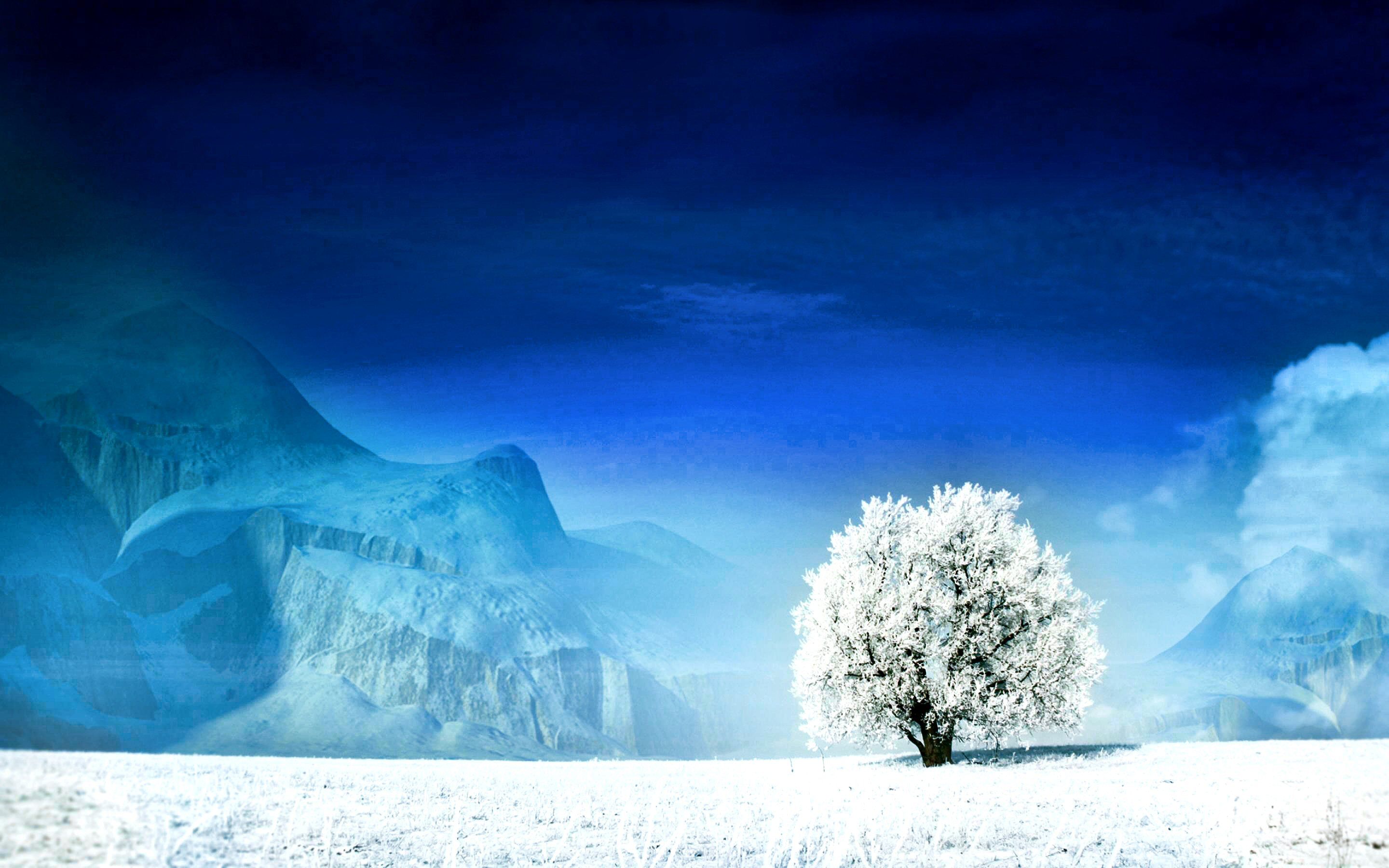 White Tree Wallpapers