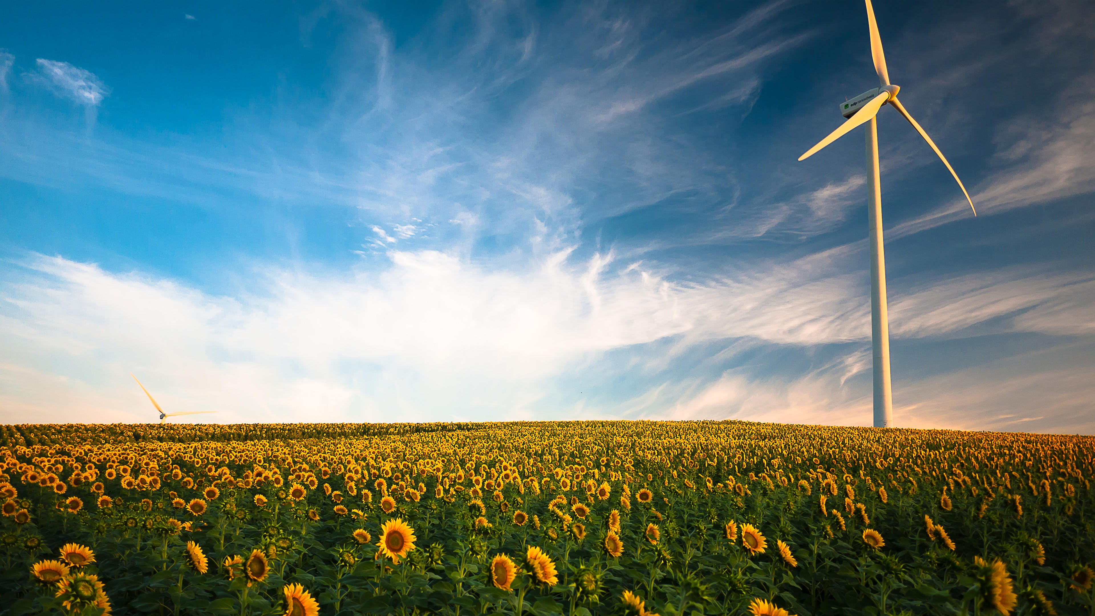 Wind Turbine Hd Field Wallpapers