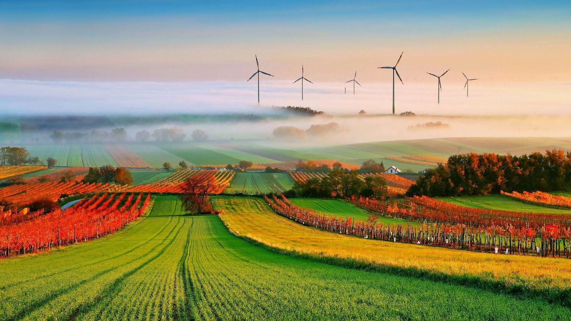 Wind Turbine Hd Field Wallpapers