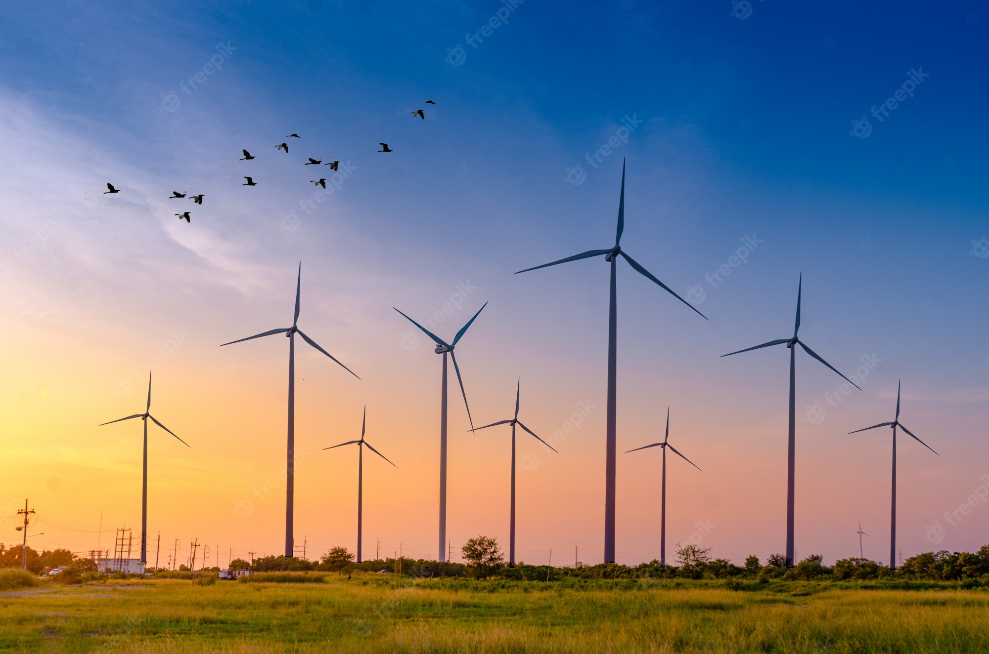 Wind Turbine Hd Field Wallpapers