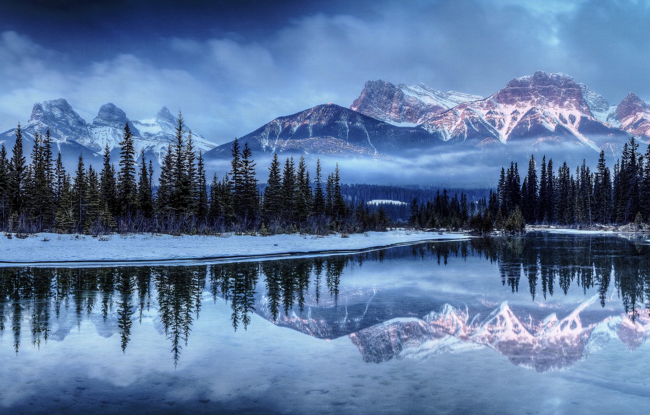 Winter Fog, Snow, Trees And Lake Wallpapers