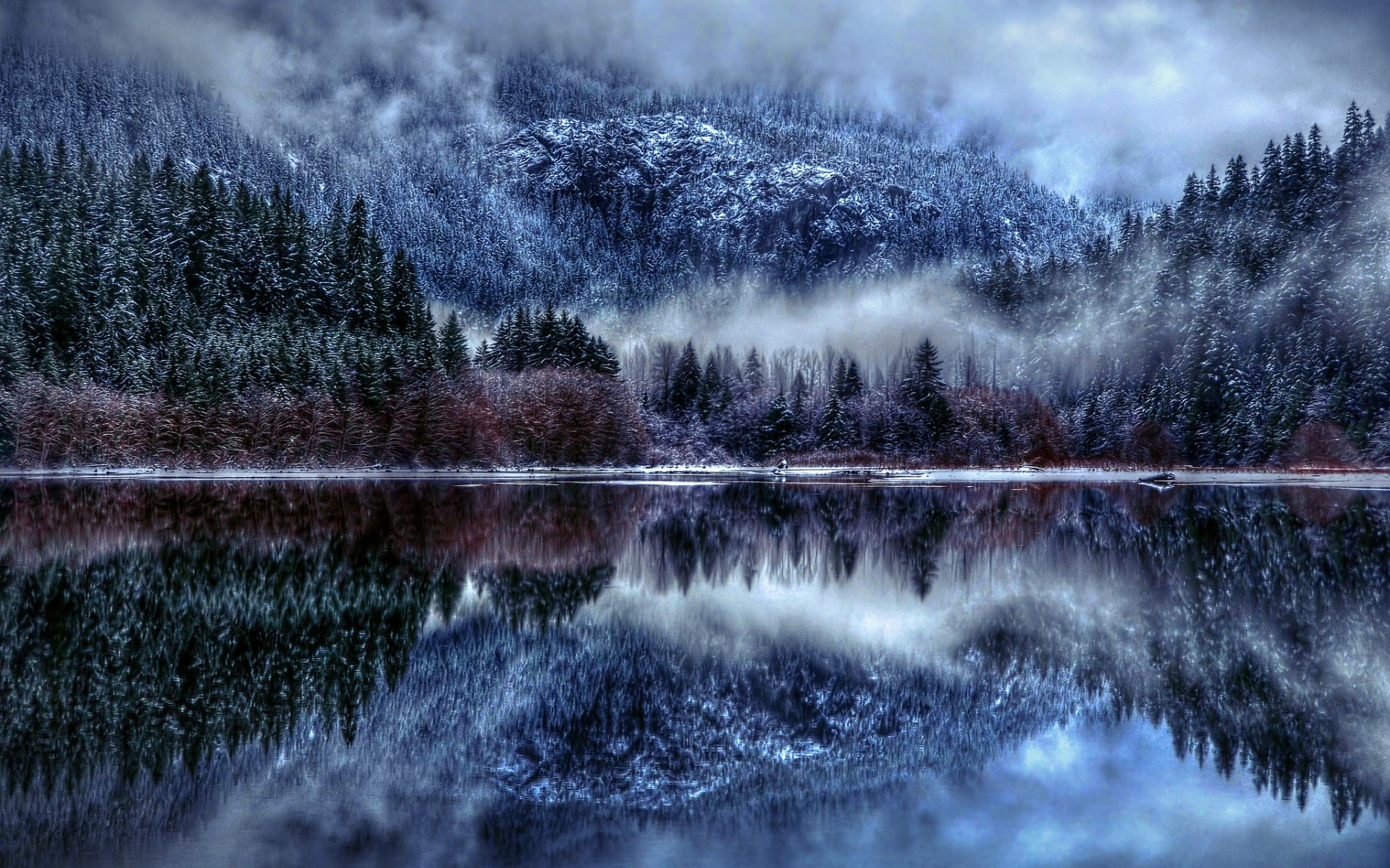 Winter Fog, Snow, Trees And Lake Wallpapers