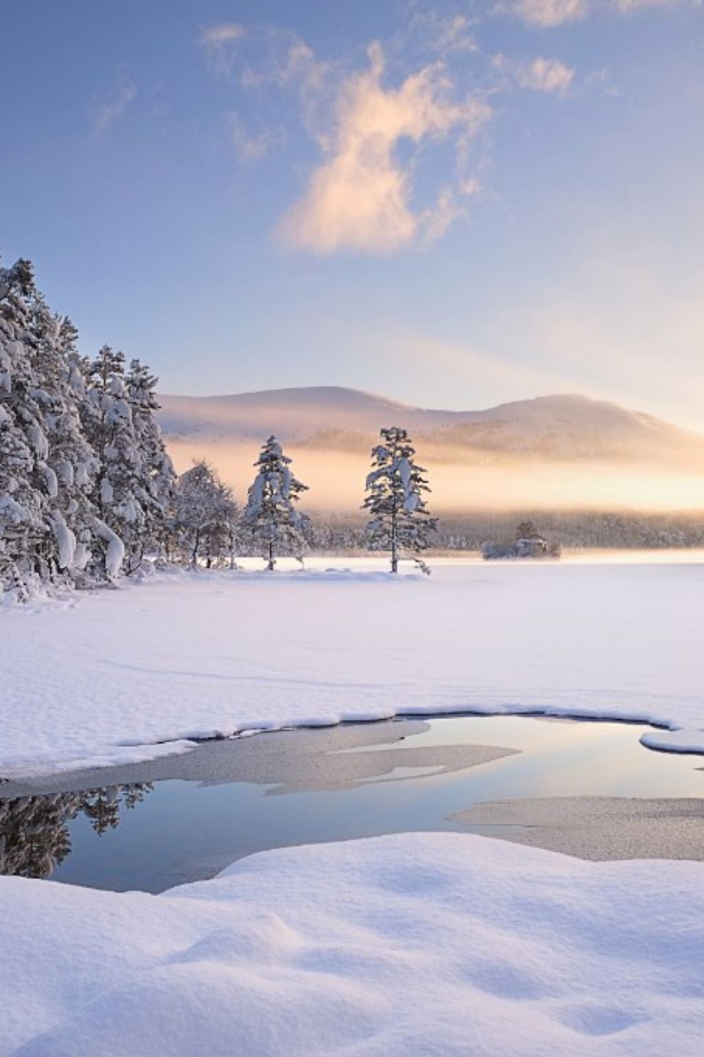 Winter Fog, Snow, Trees And Lake Wallpapers