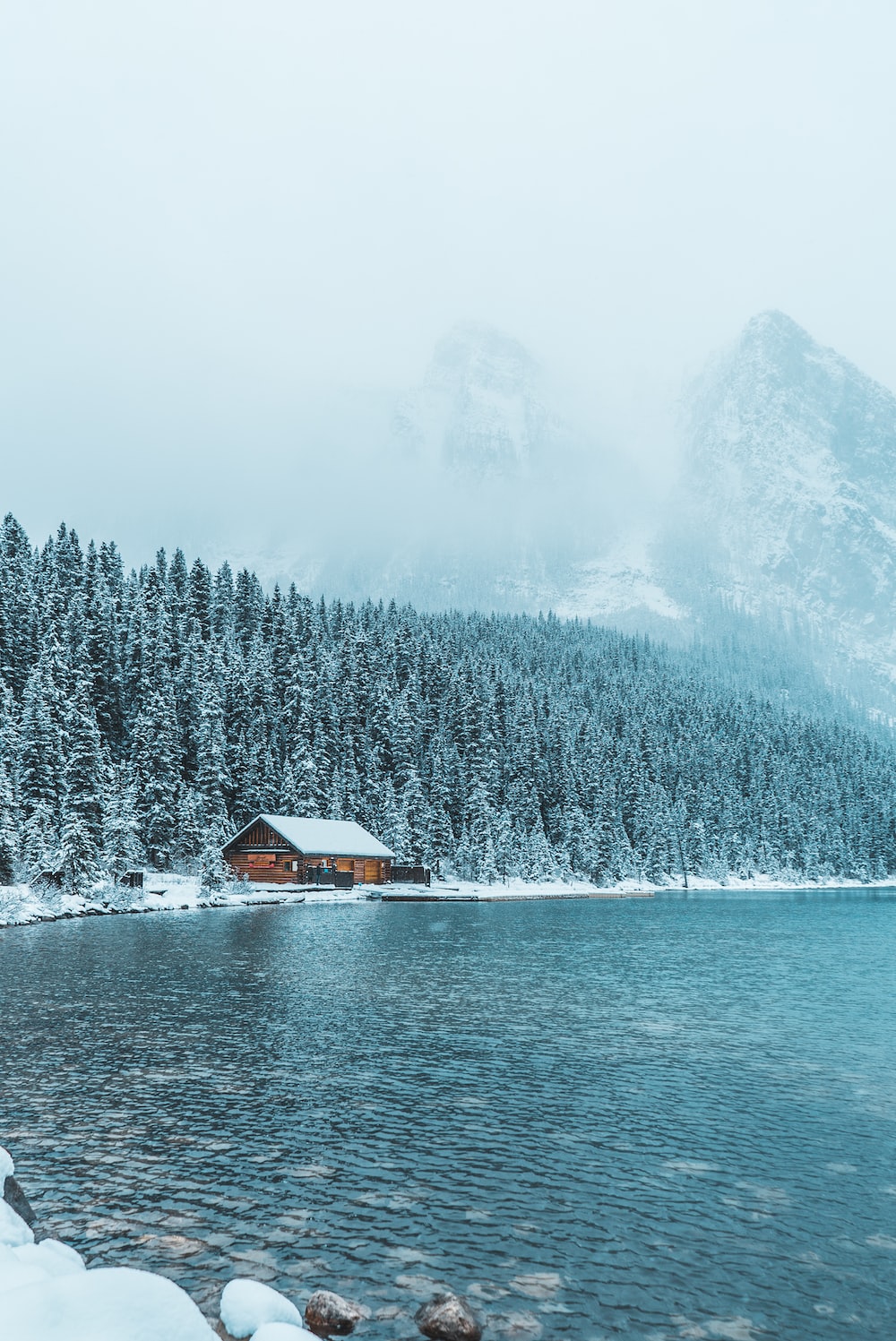 Winter Fog, Snow, Trees And Lake Wallpapers