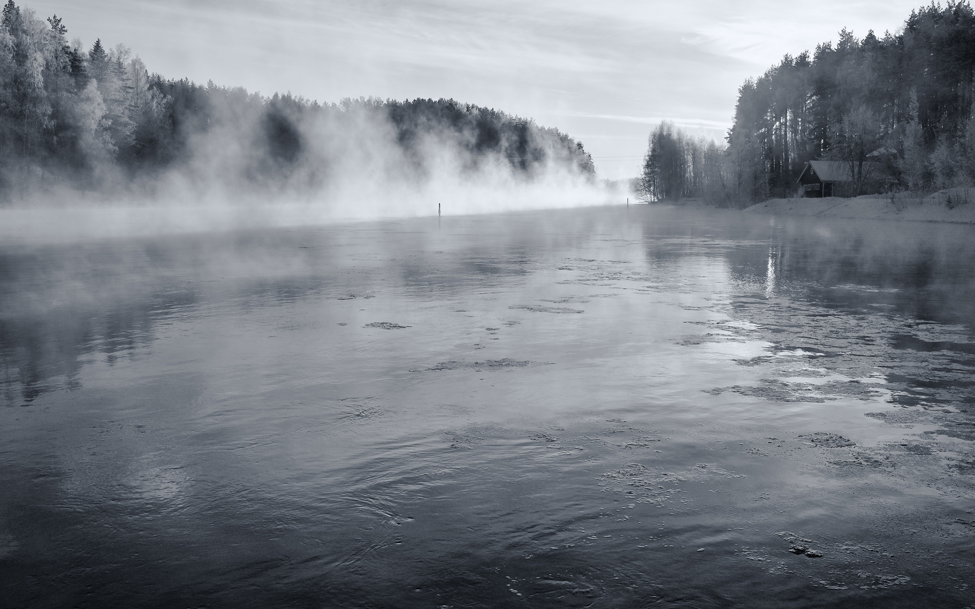 Winter Fog, Snow, Trees And Lake Wallpapers