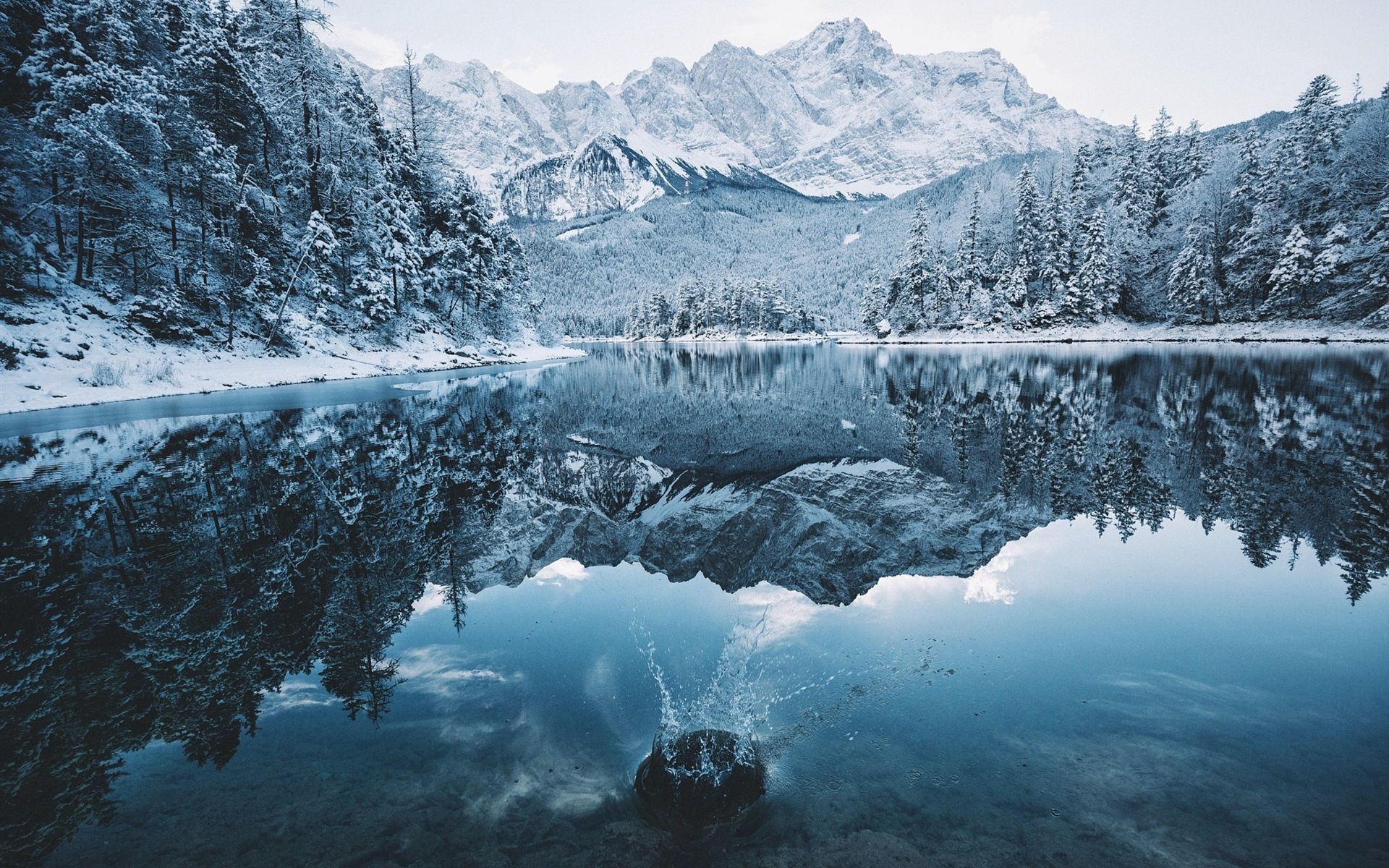 Winter Fog, Snow, Trees And Lake Wallpapers