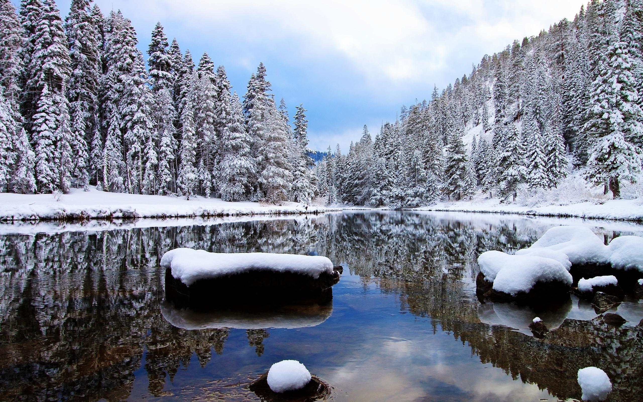 Winter Fog, Snow, Trees And Lake Wallpapers