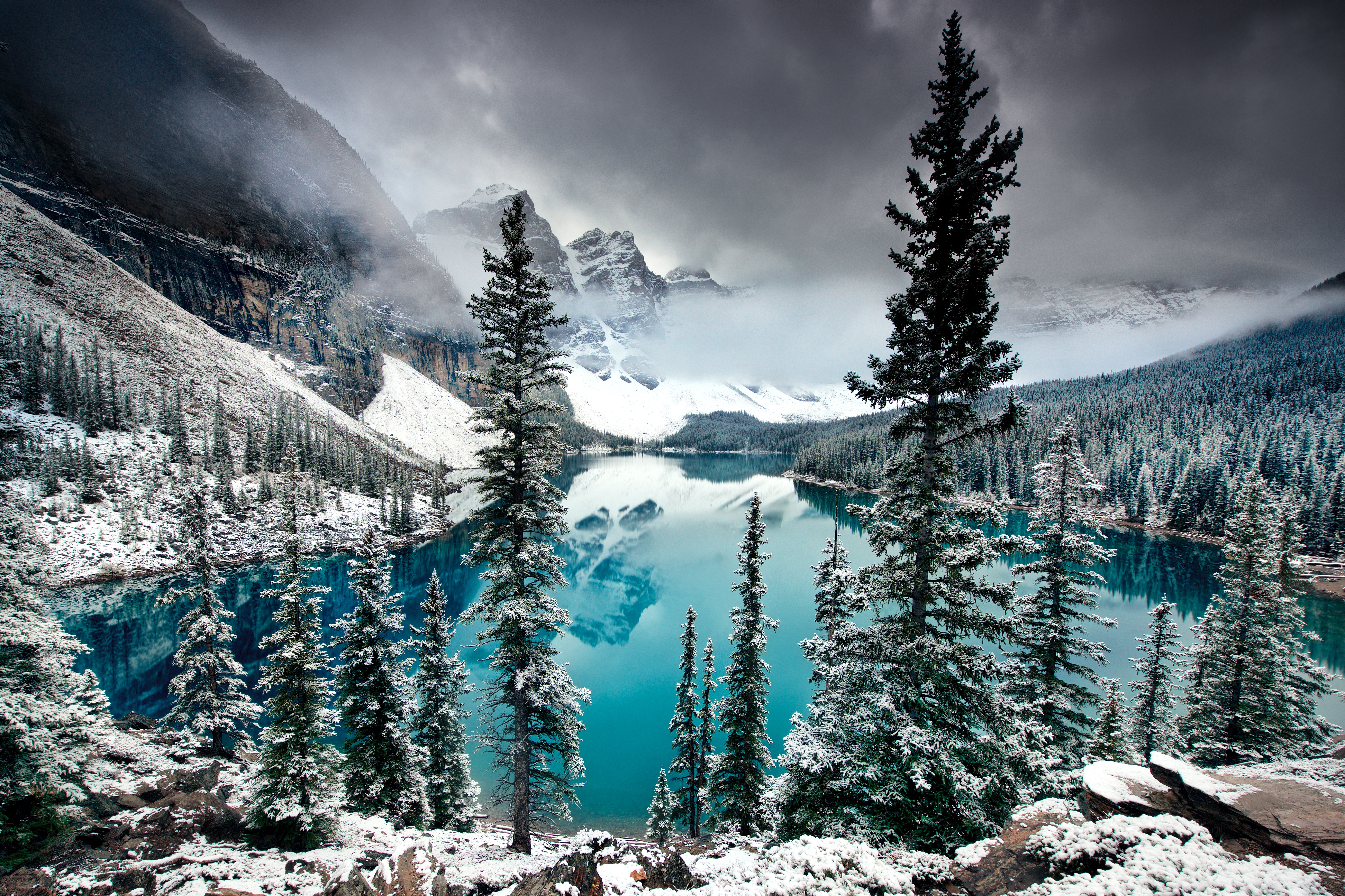 Winter Fog, Snow, Trees And Lake Wallpapers