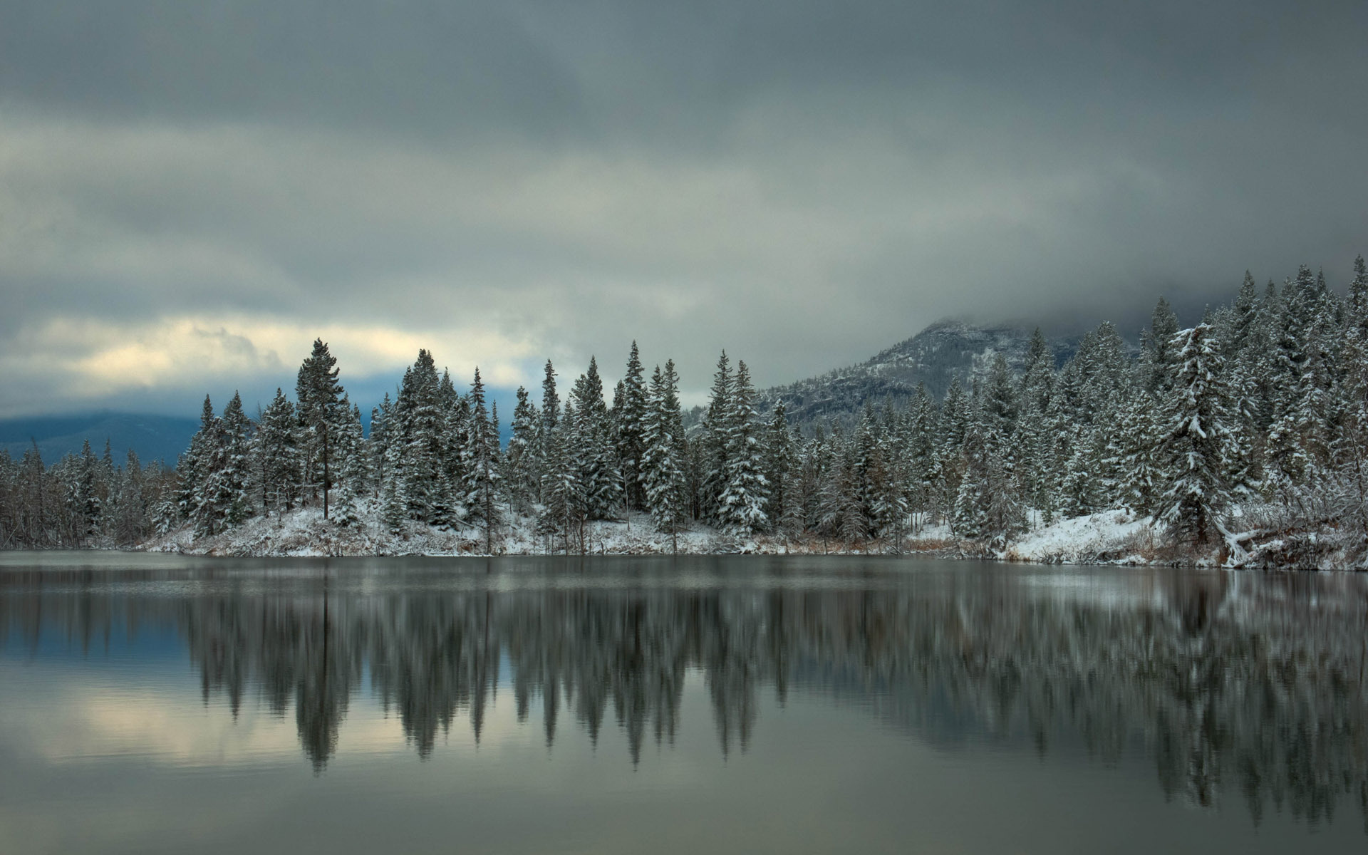 Winter Fog, Snow, Trees And Lake Wallpapers