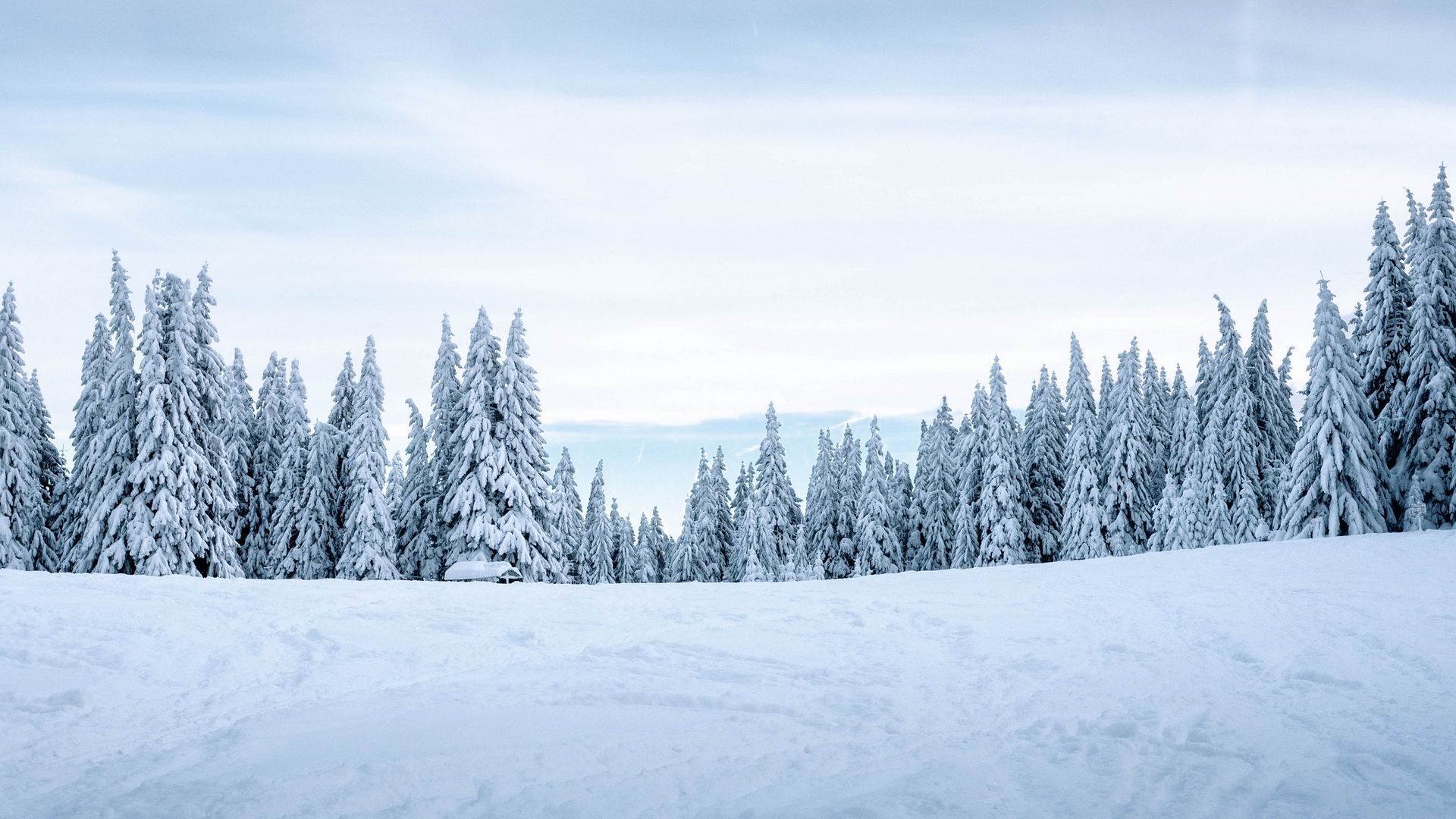 Winter Landscape With Snow Covered Trees Wallpapers