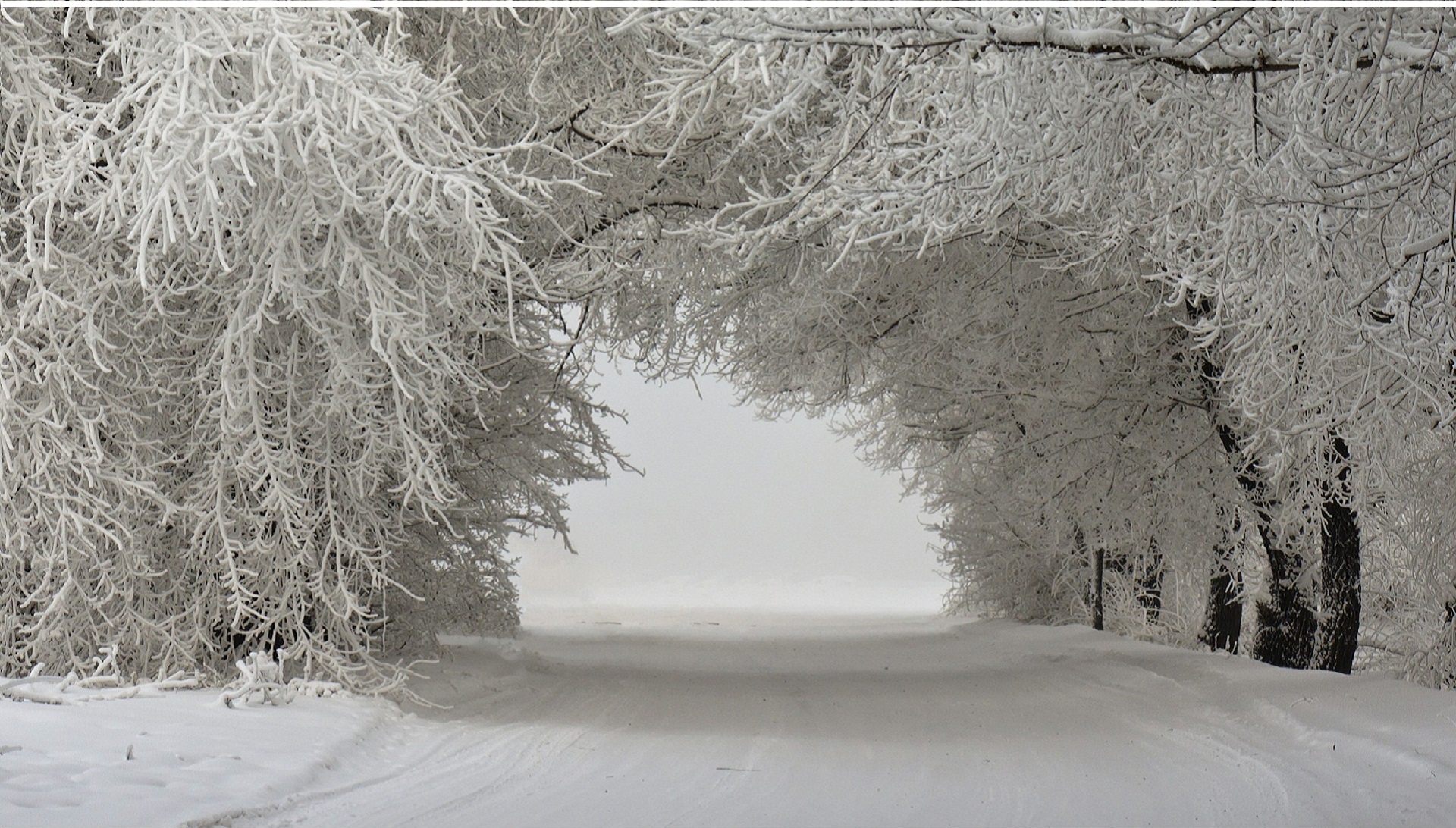 Winter Landscape With Snow Covered Trees Wallpapers