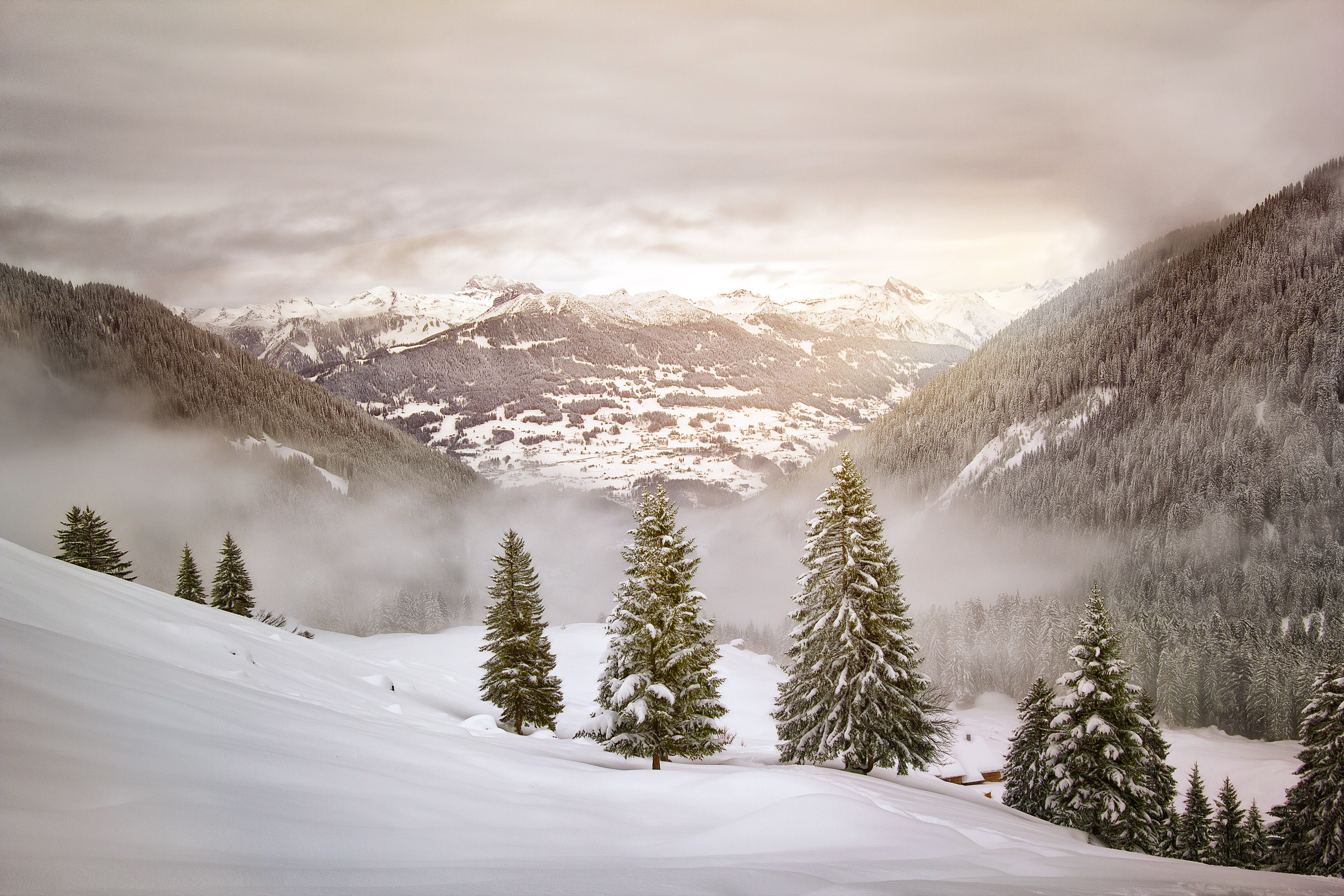 Winter Landscape With Snow Covered Trees Wallpapers