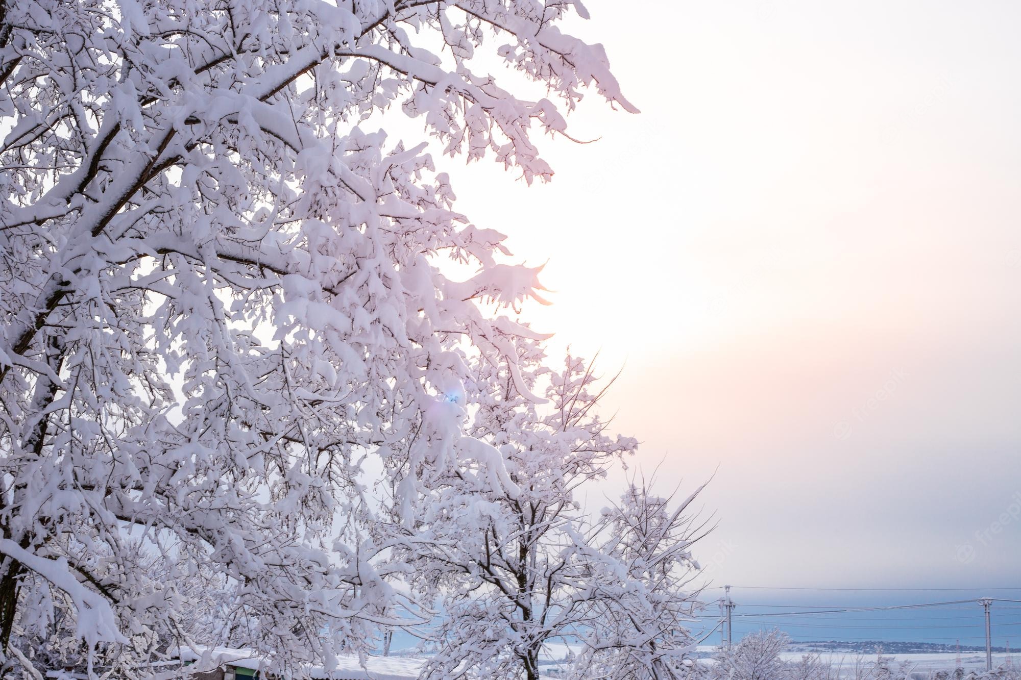 Winter Landscape With Snow Covered Trees Wallpapers