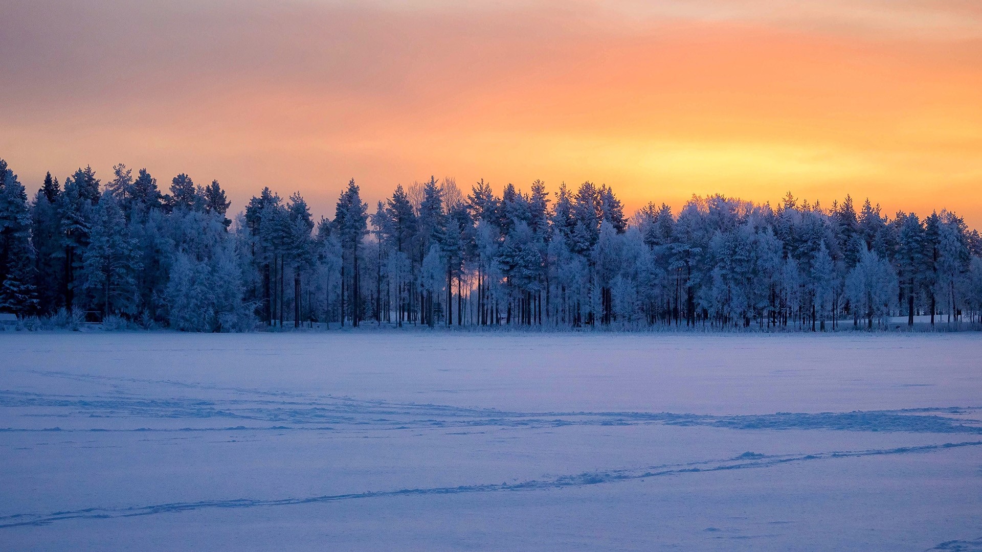 Winter Landscape With Snow Covered Trees Wallpapers