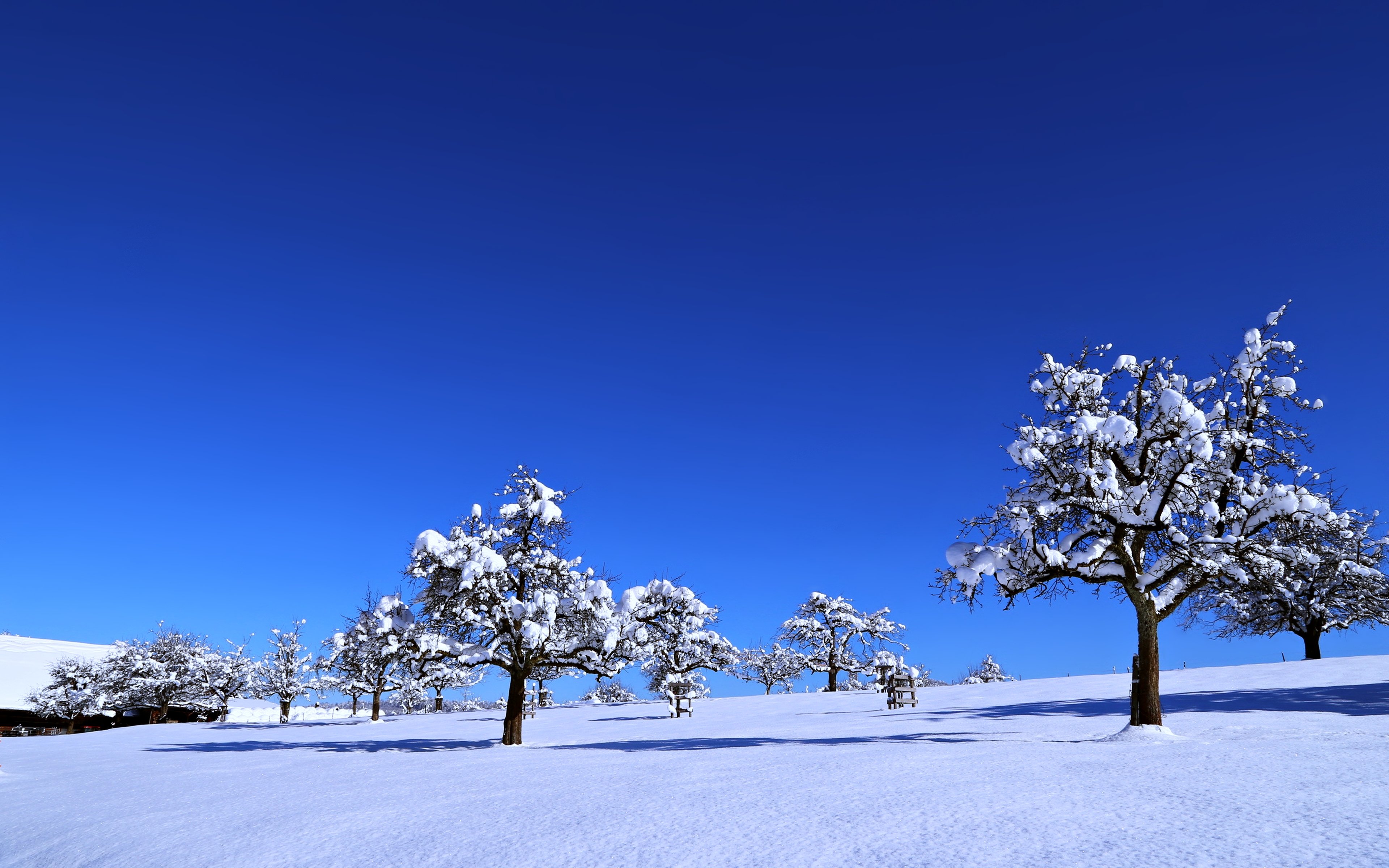 Winter Landscape With Snow Covered Trees Wallpapers