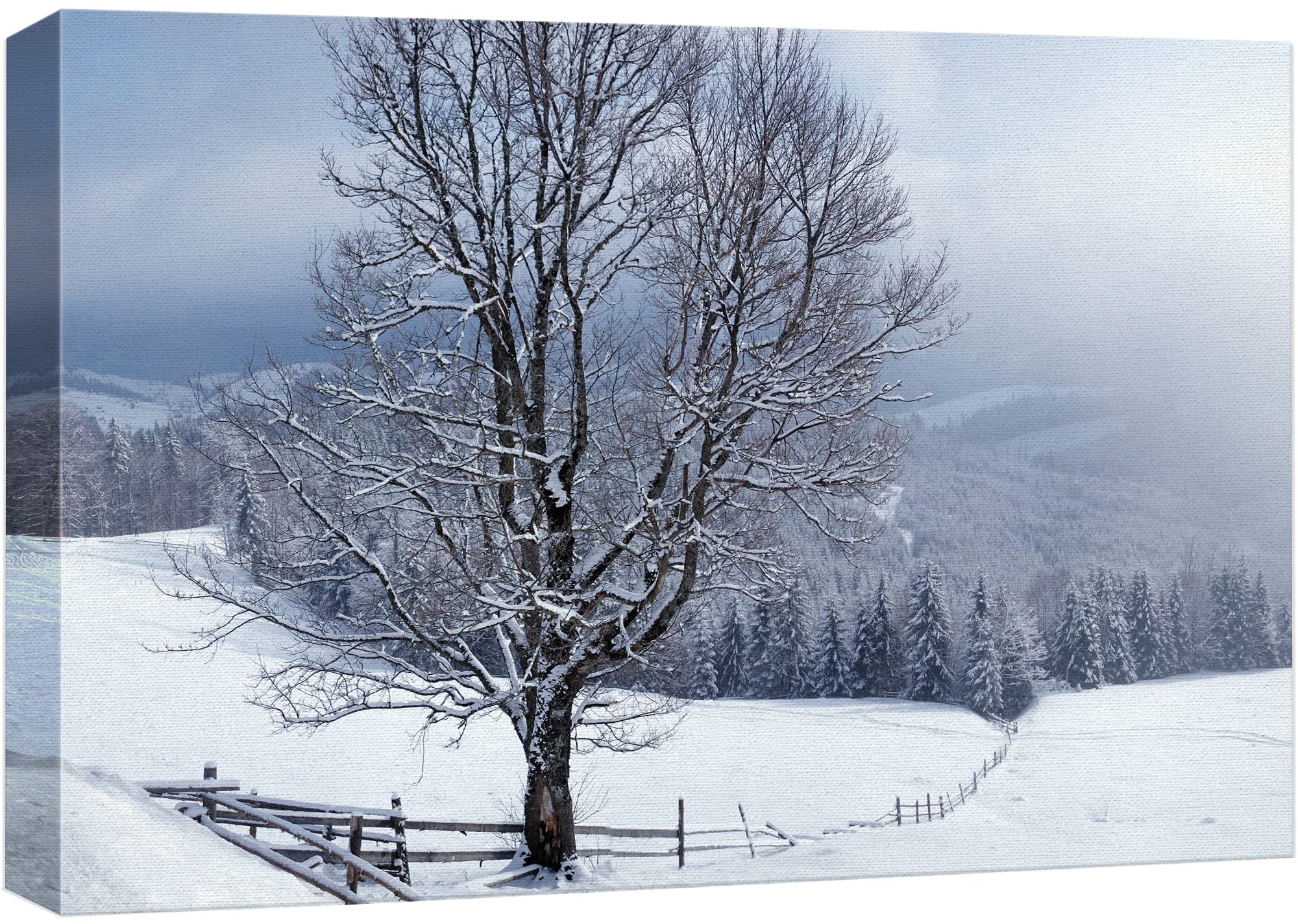 Winter Landscape With Snow Covered Trees Wallpapers