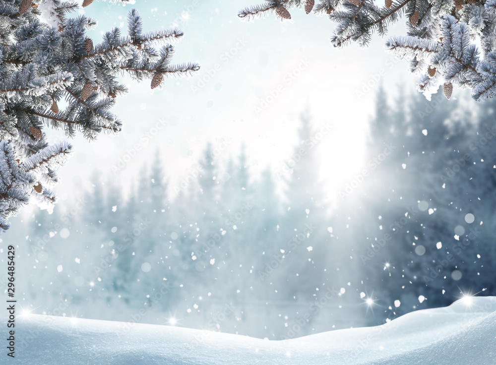 Winter Landscape With Snow Covered Trees Wallpapers