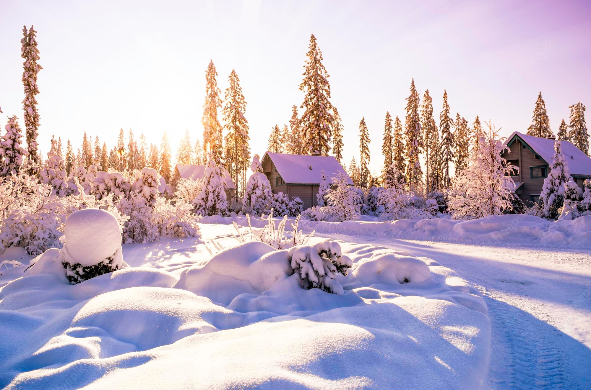 Winter Landscape With Snow Covered Trees Wallpapers