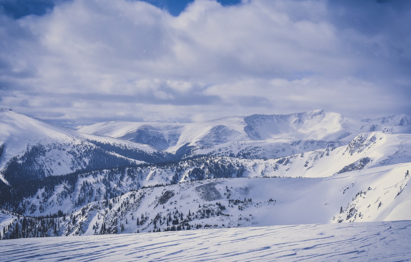 Winter Landscape With Snow Covered Trees Wallpapers