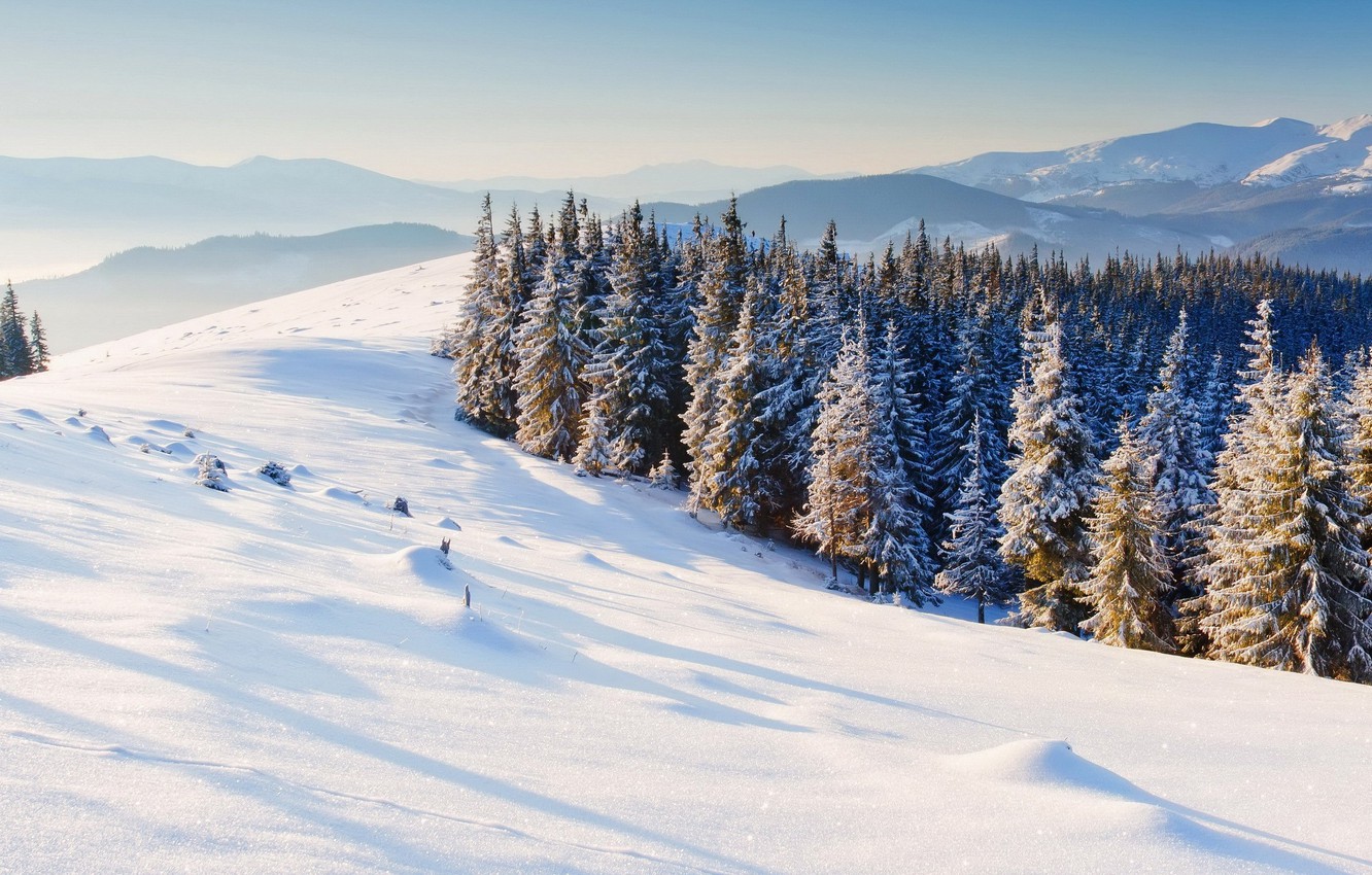 Winter Mountains And Trees Wallpapers