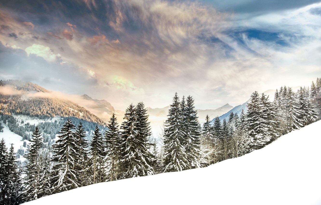 Winter Mountains And Trees Wallpapers