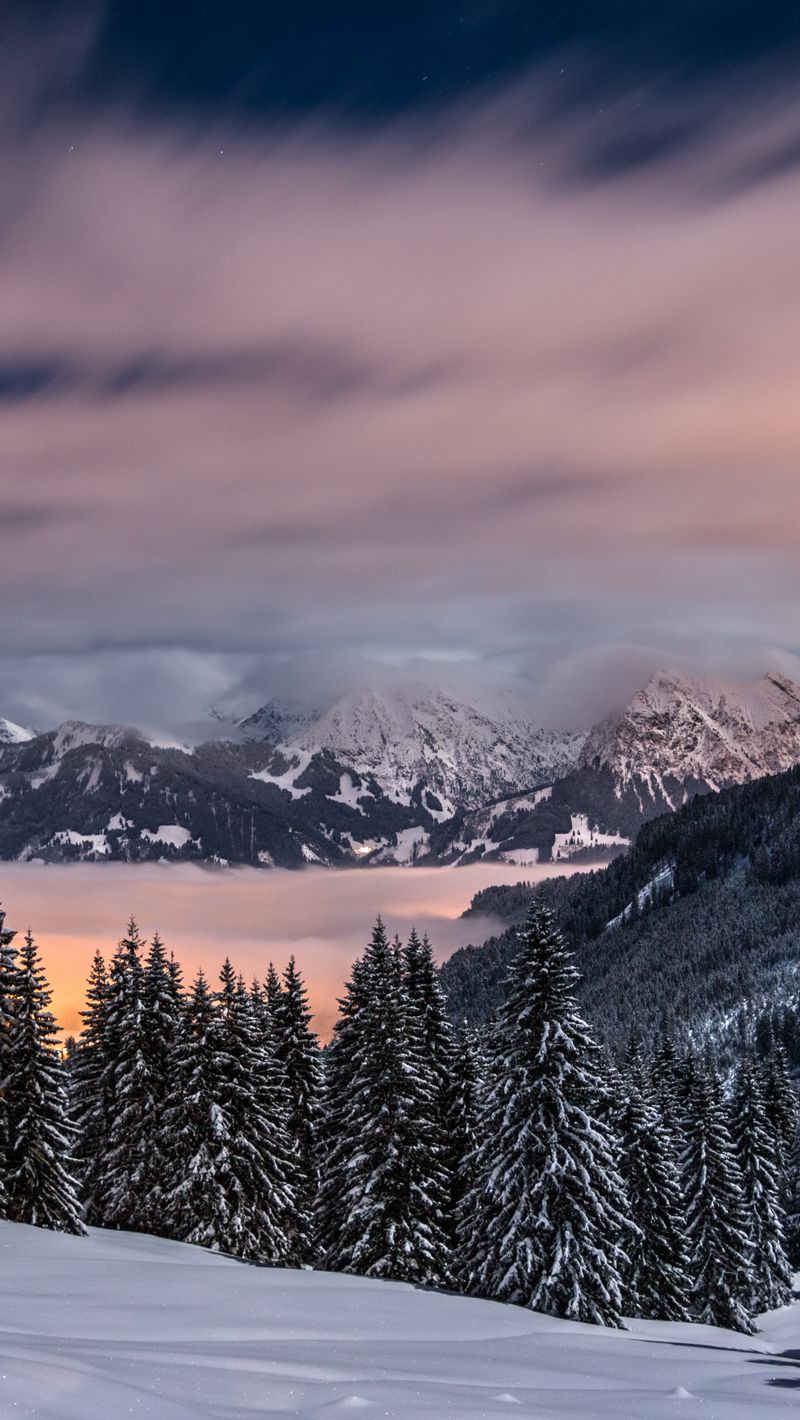 Winter Mountains And Trees Wallpapers